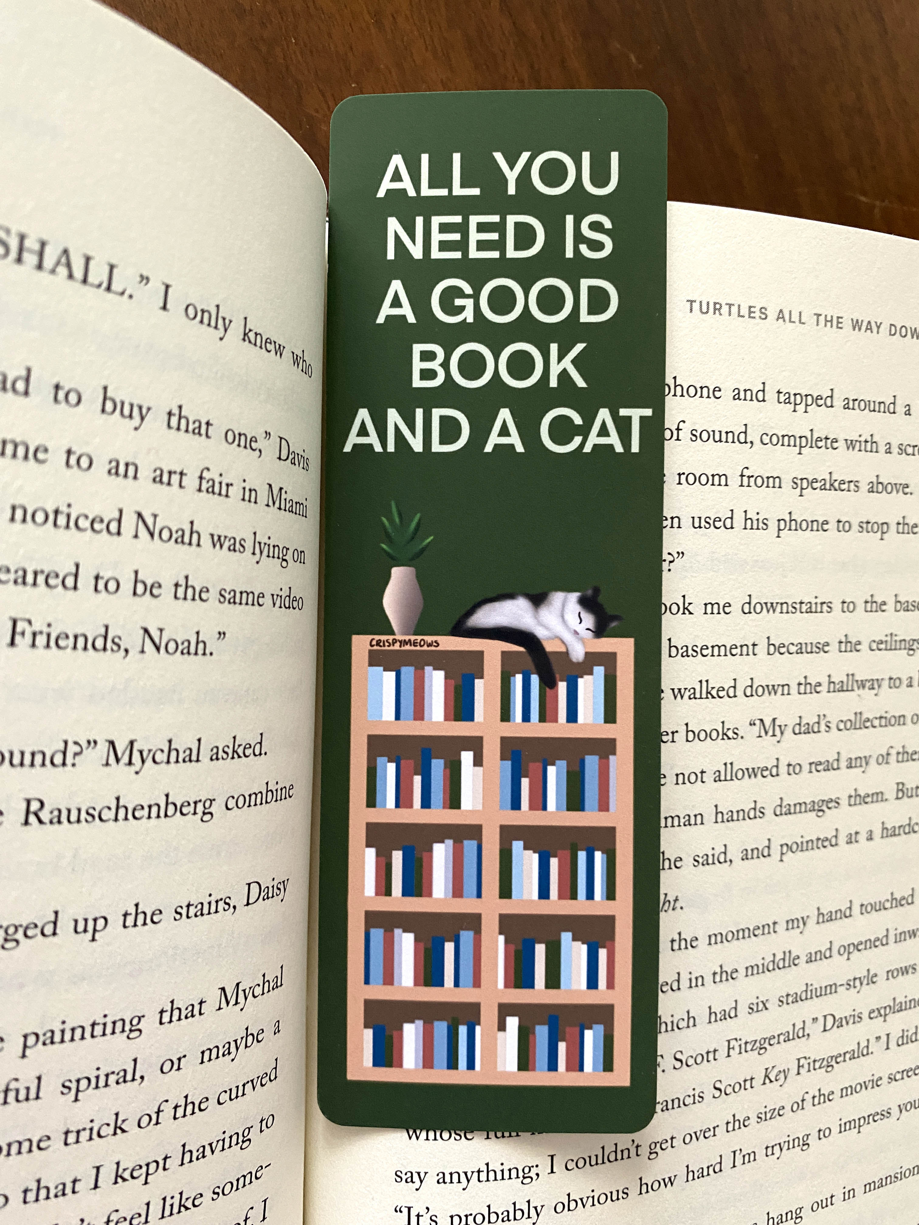 All You Need Is A Good Book & A Cat