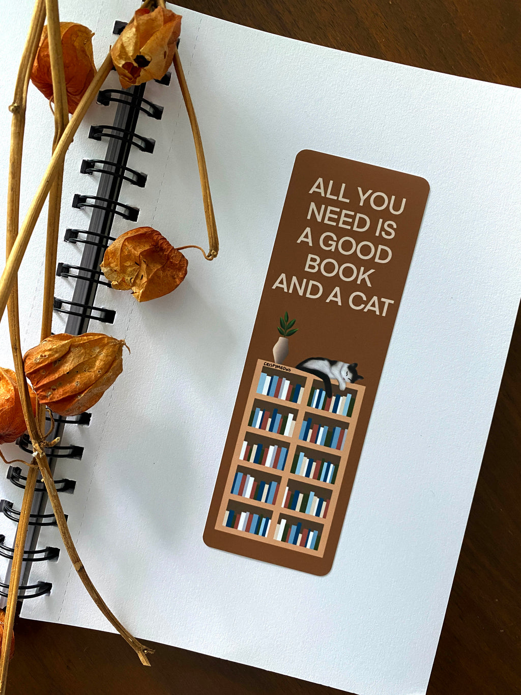 All You Need Is A Good Book & A Cat