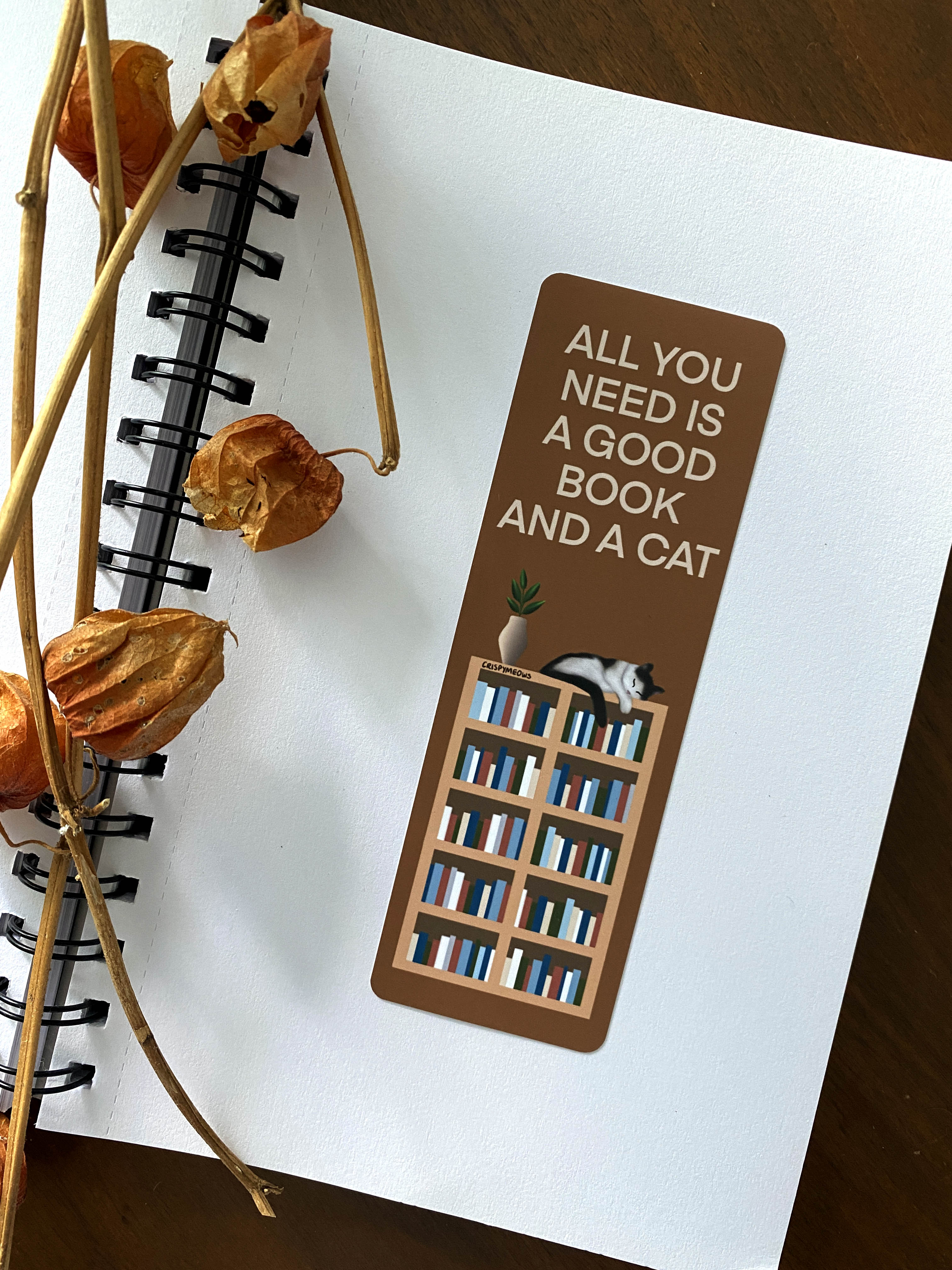 All You Need Is A Good Book & A Cat