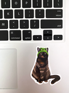 Cat With Froggie Hat