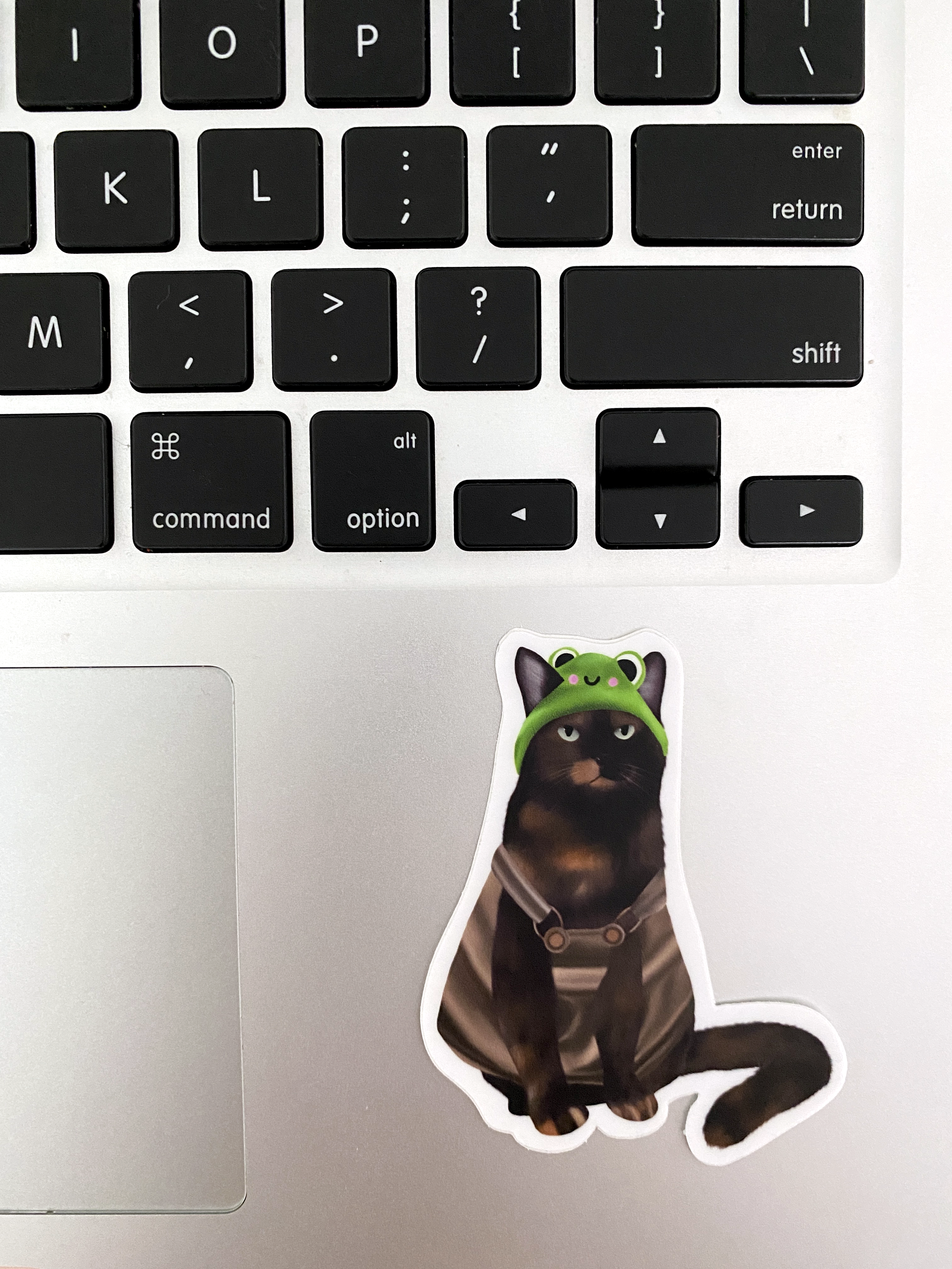 Cat With Froggie Hat