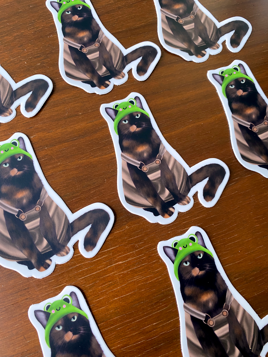 Cat With Froggie Hat