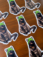 Cat With Froggie Hat