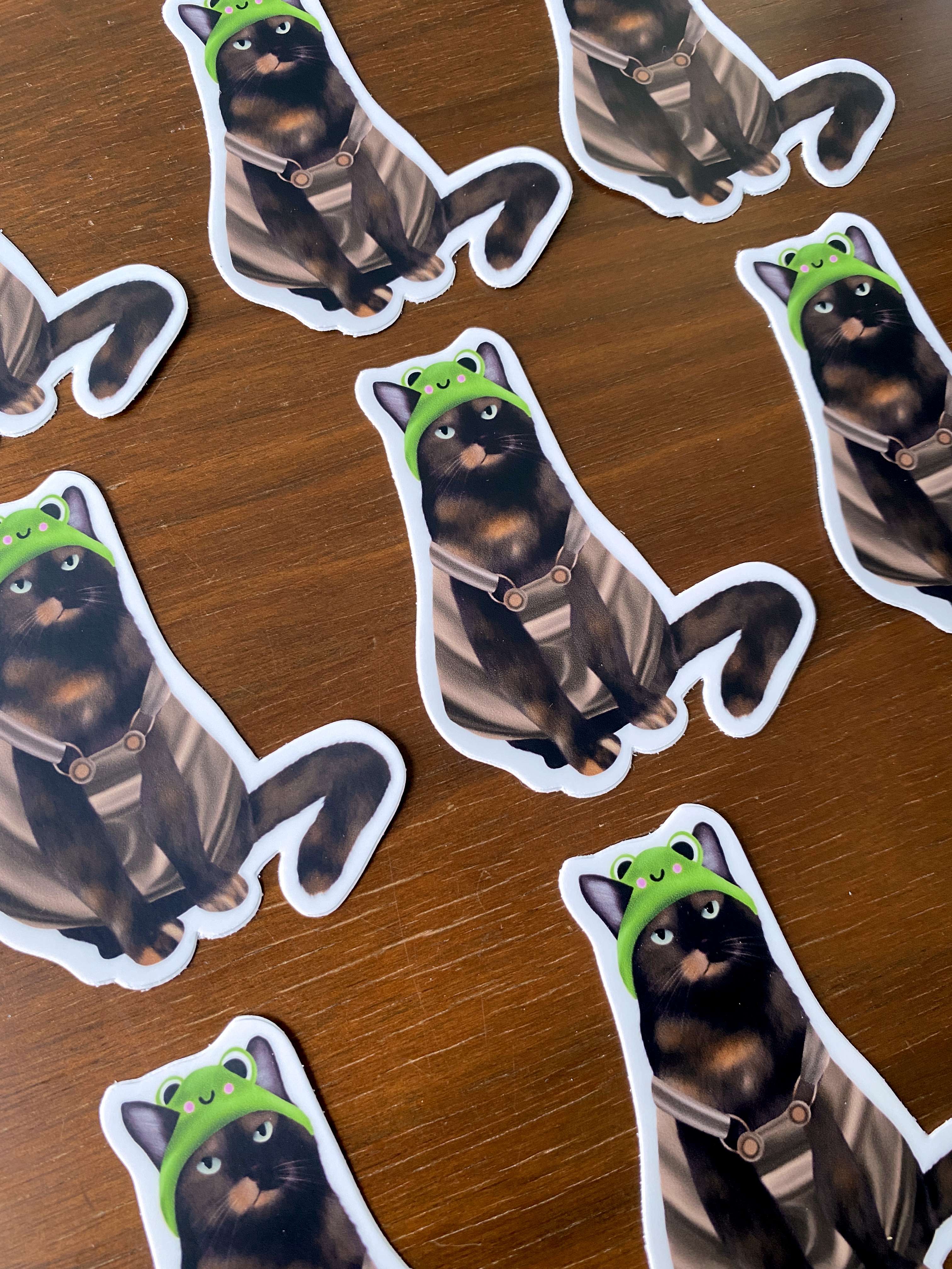 Cat With Froggie Hat