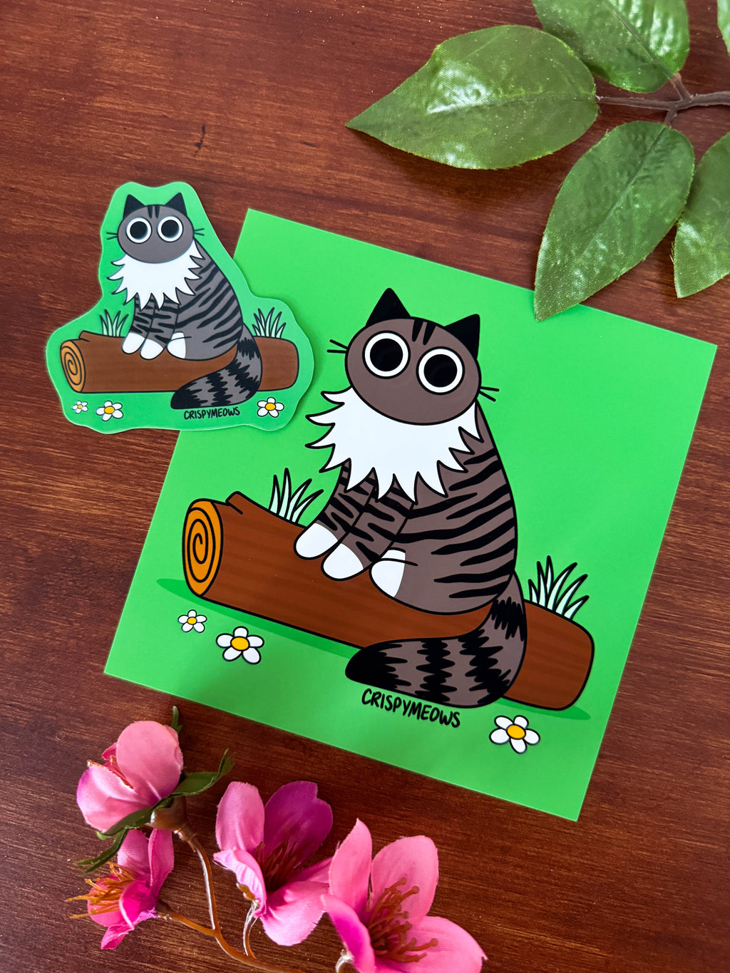 Norwegian Forest Cat, 5 x 5 Print