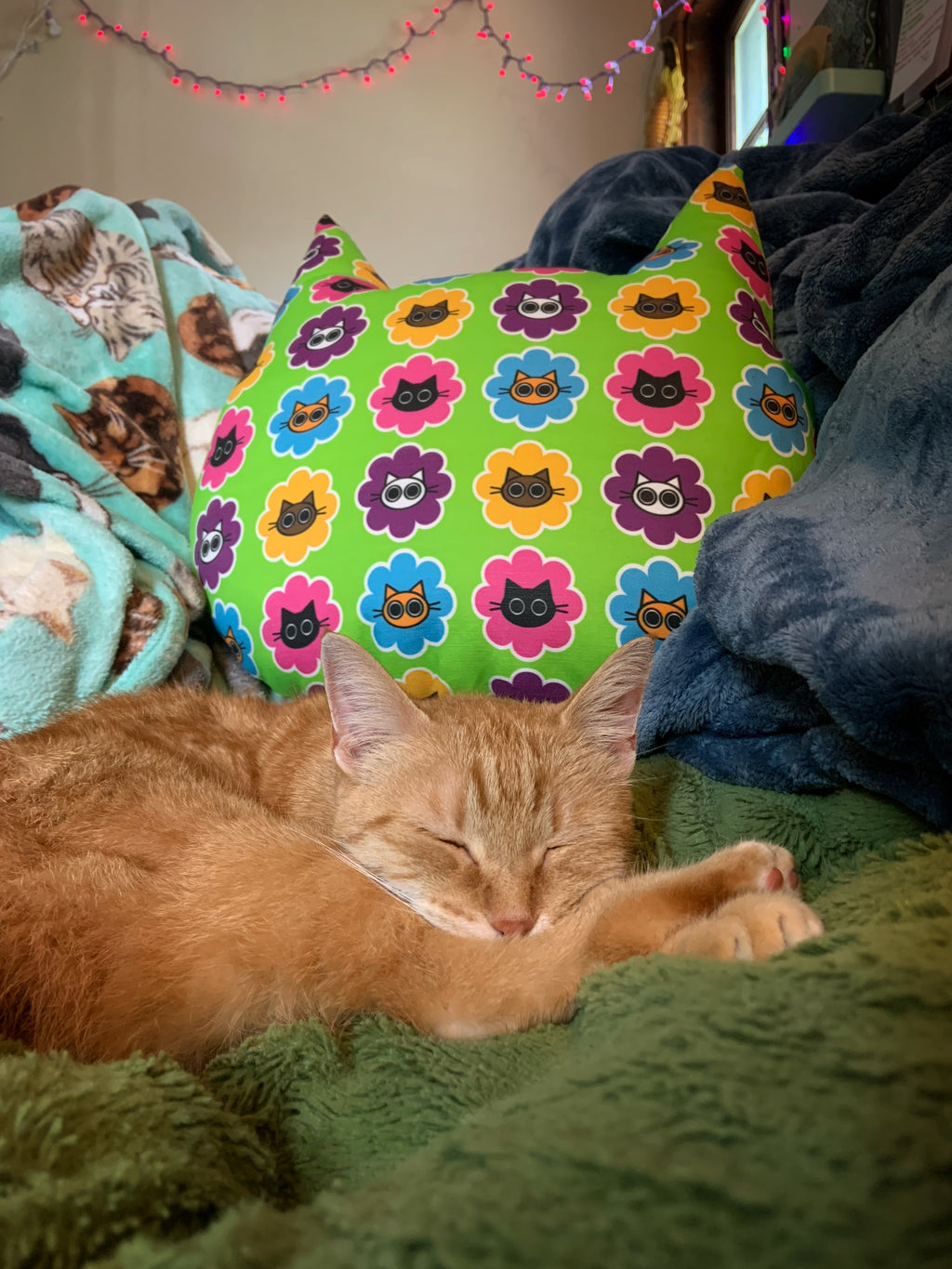 The Crispy Pillow