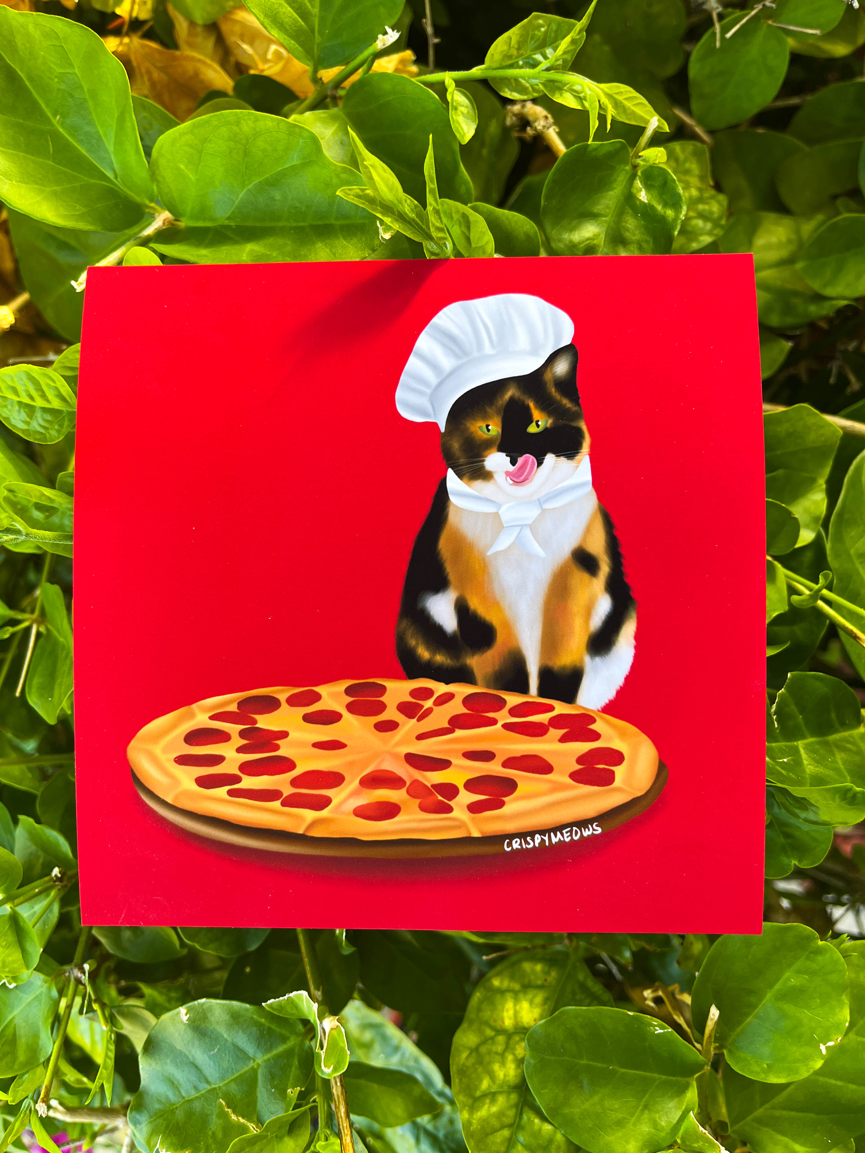 Pizza Cat, 5 x 5 Art Print