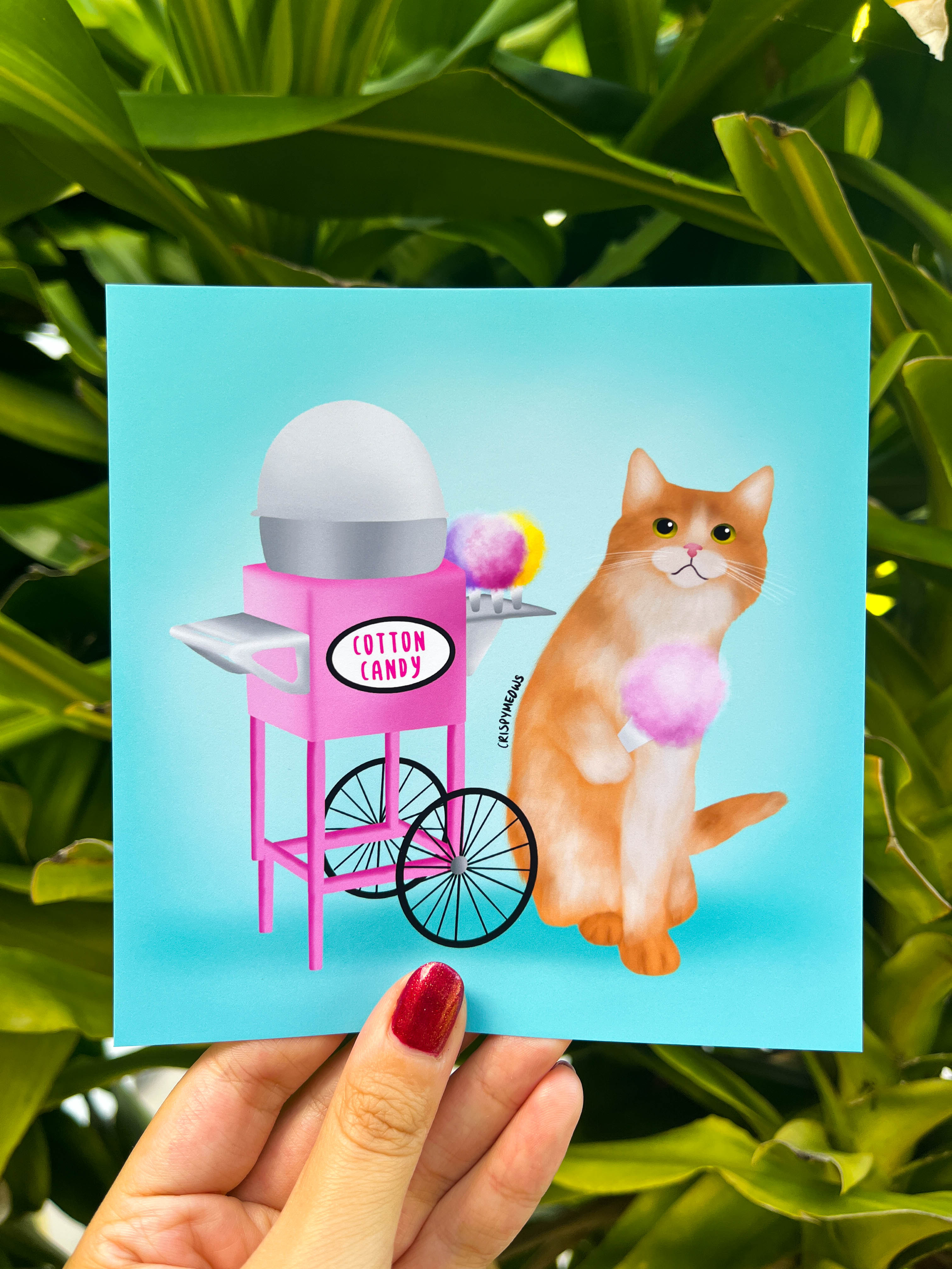 Cotton Candy Cat 5 x 5 Art Print