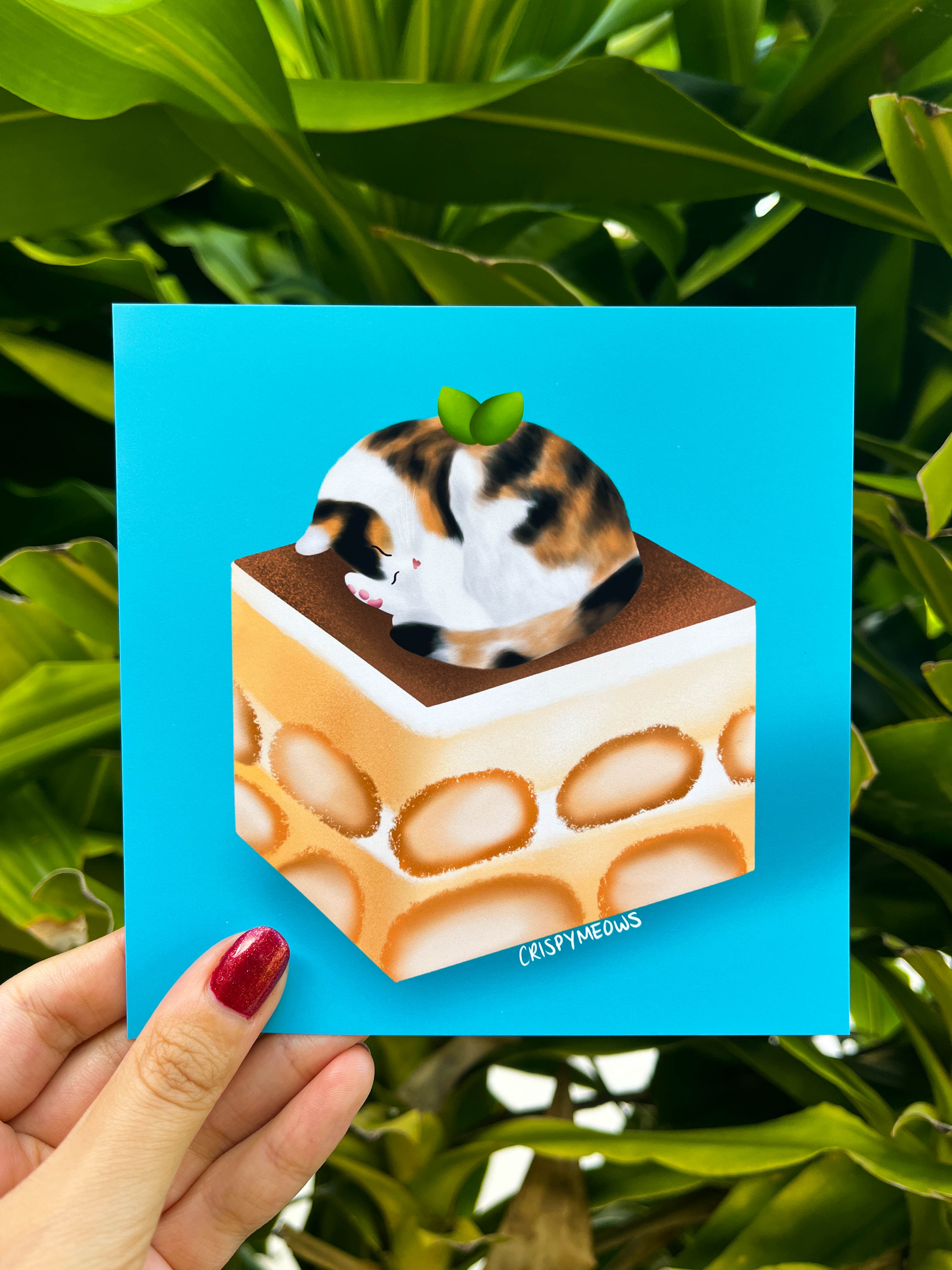 TiraMEOWsu Cat 5 x 5 Art Print