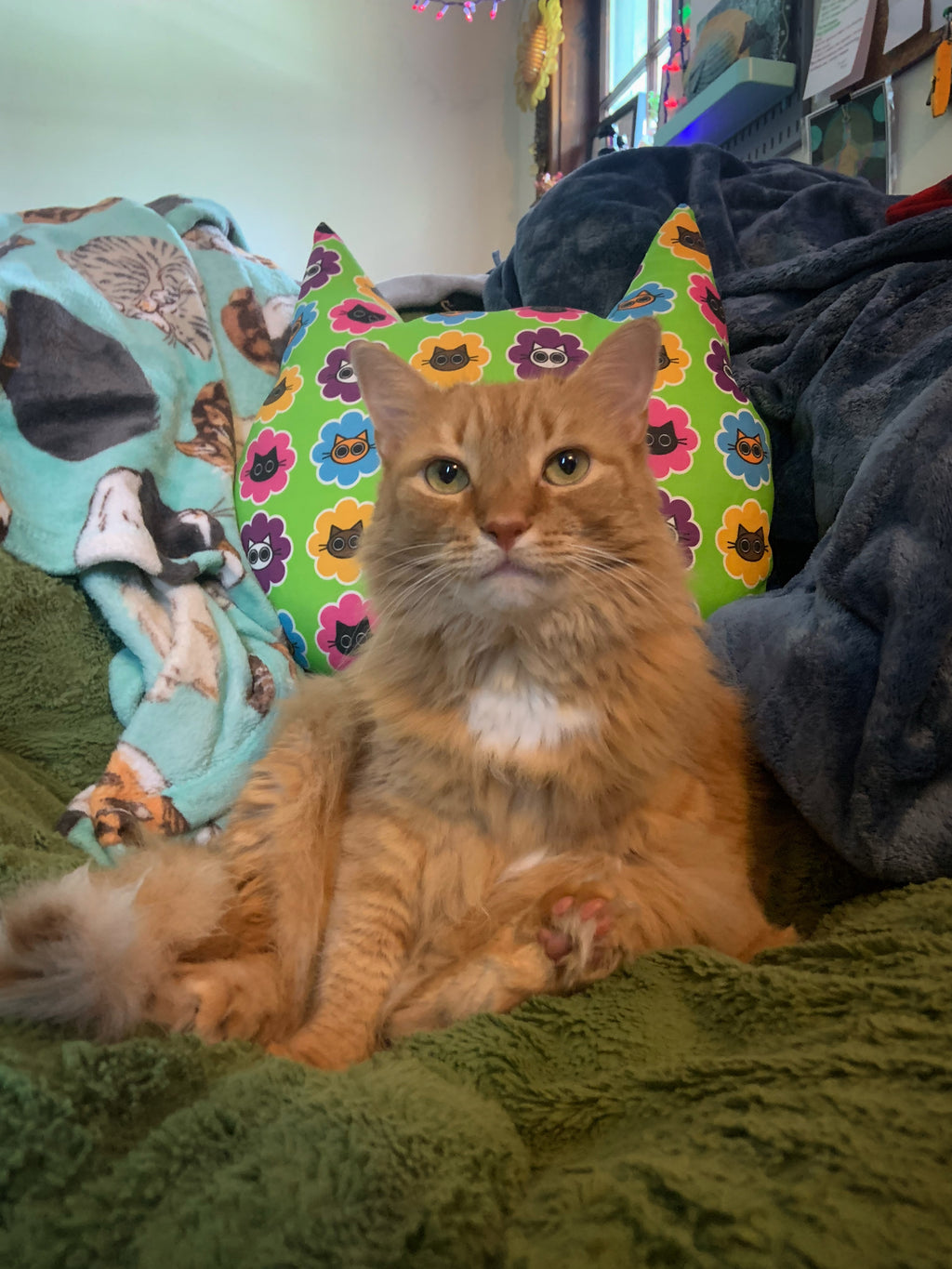 The Crispy Pillow