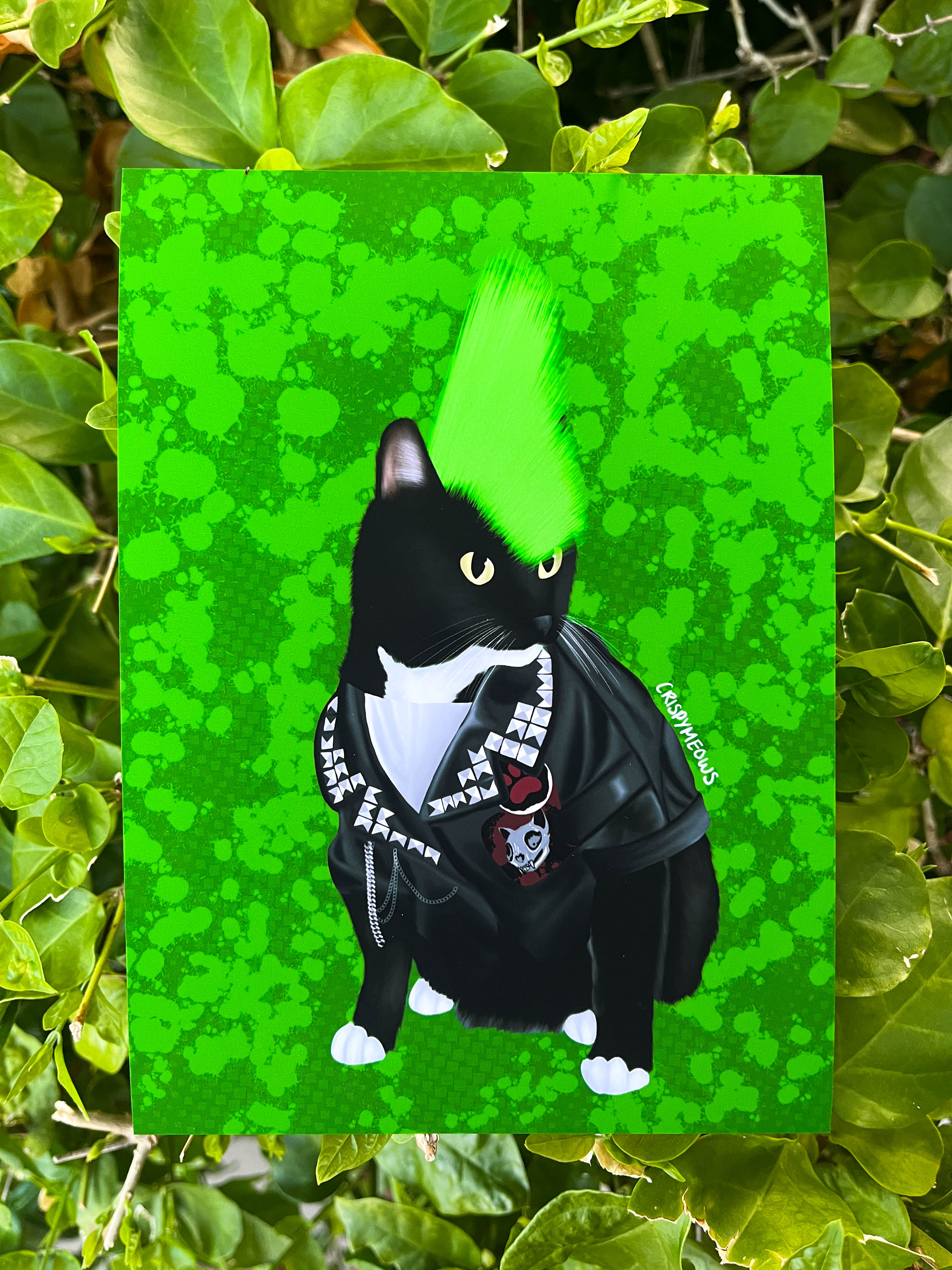 Punk Cat 5 x 7 Art Print