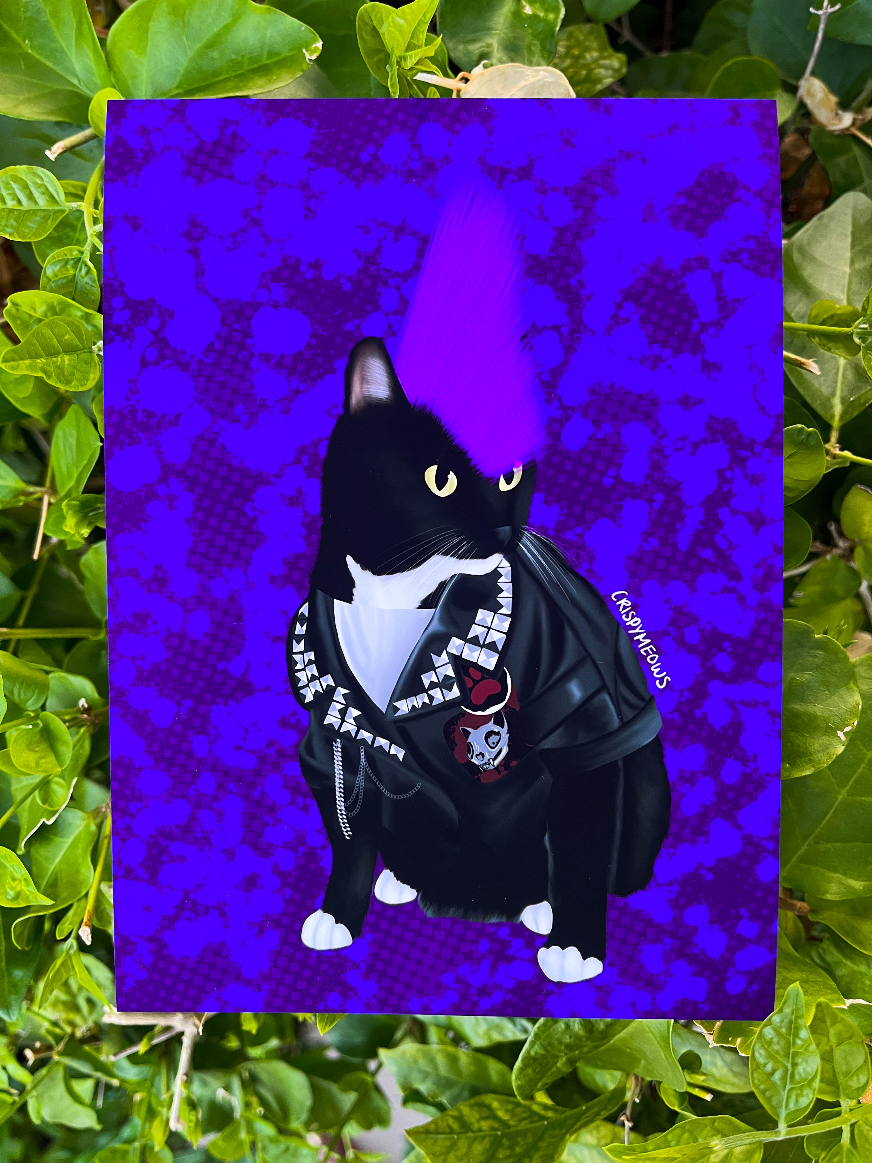 Punk Cat 5 x 7 Art Print