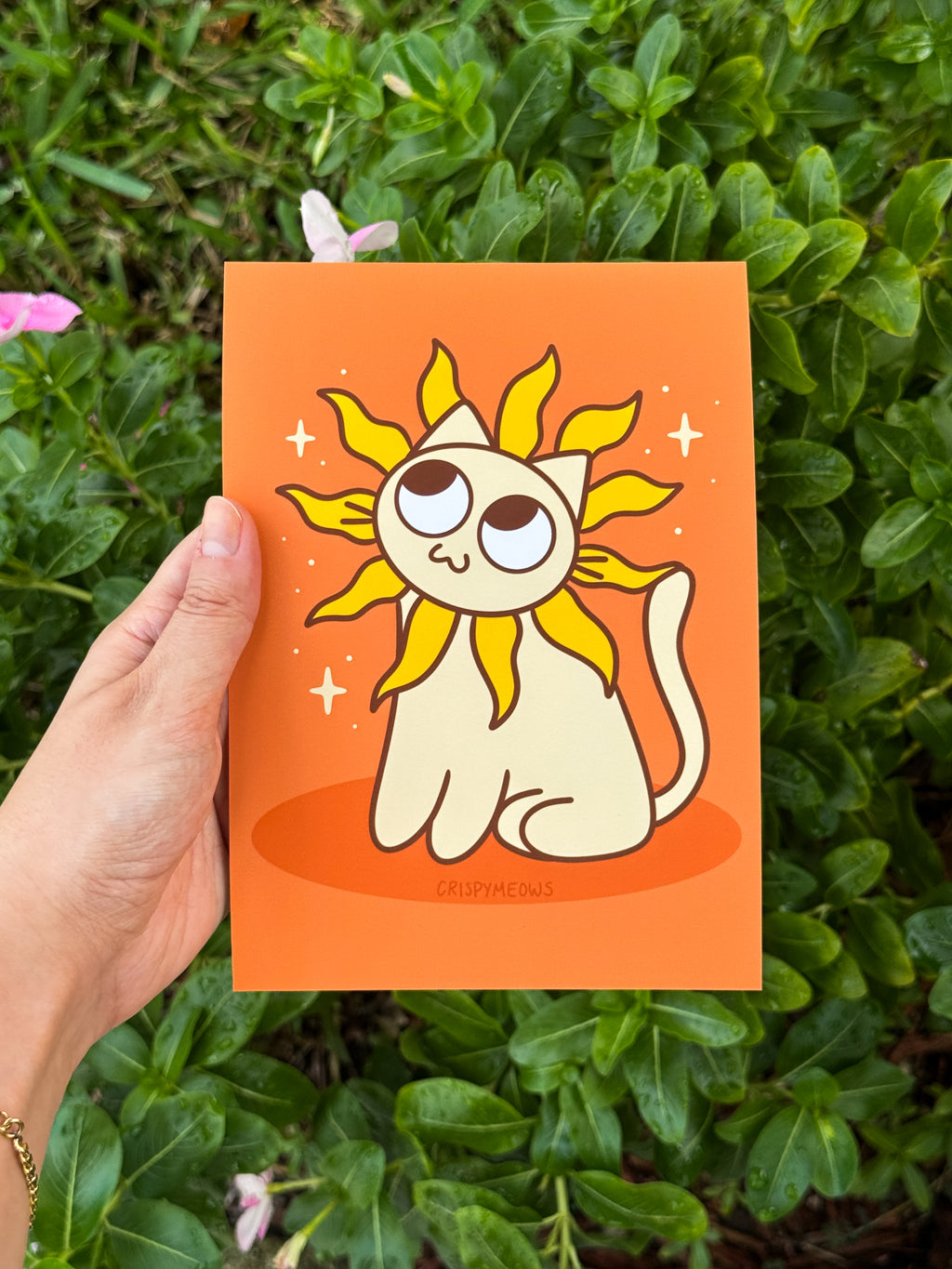 Sun Cat, 5 x 7 Print