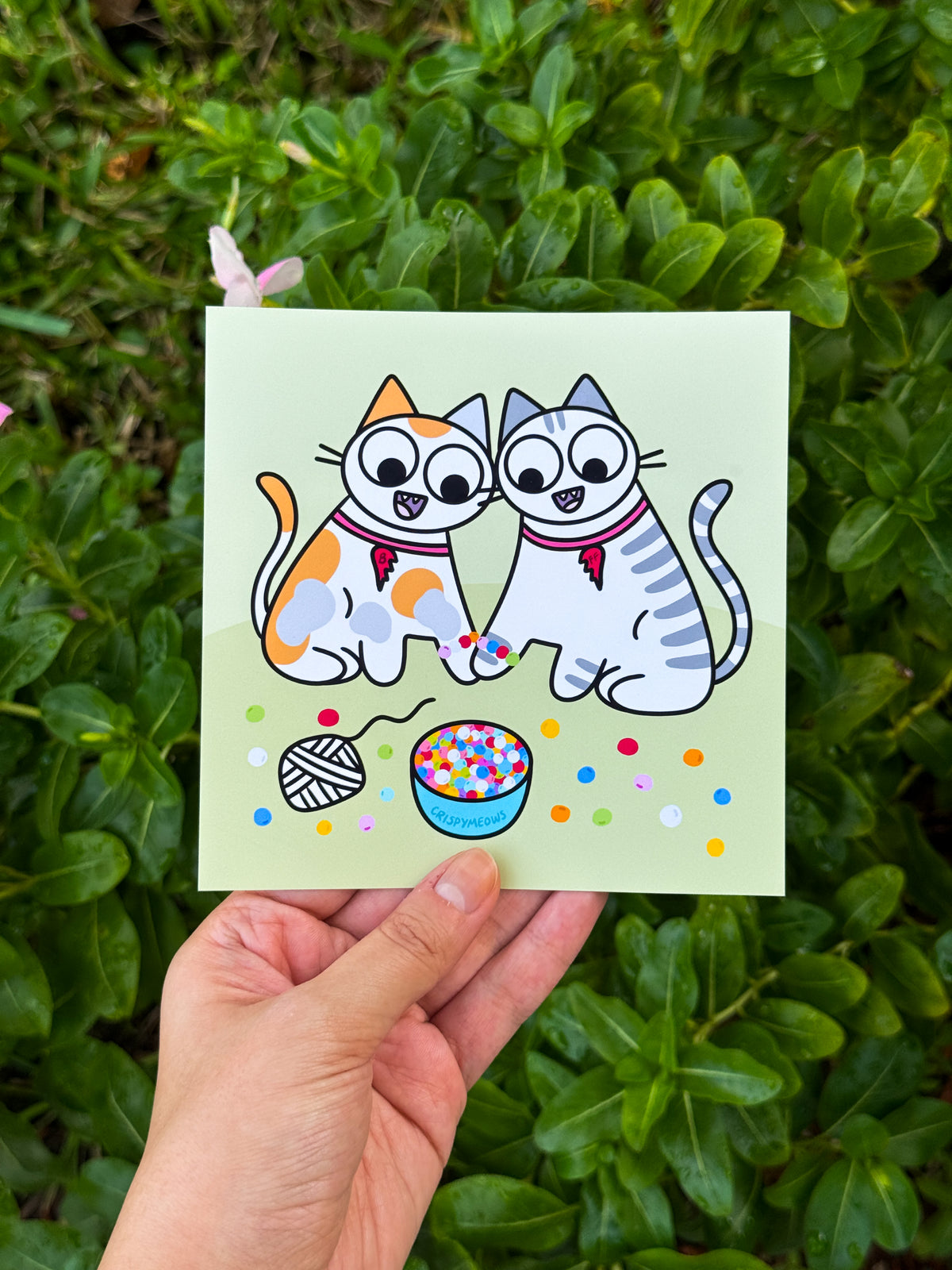 Arts & Cats, 5 x 5 Prints (designs from the 2027 calendar)