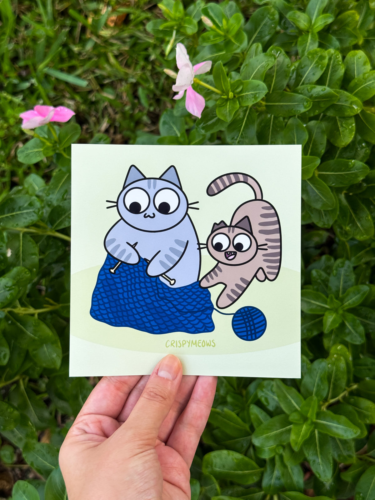 Arts & Cats, 5 x 5 Prints (designs from the 2027 calendar)