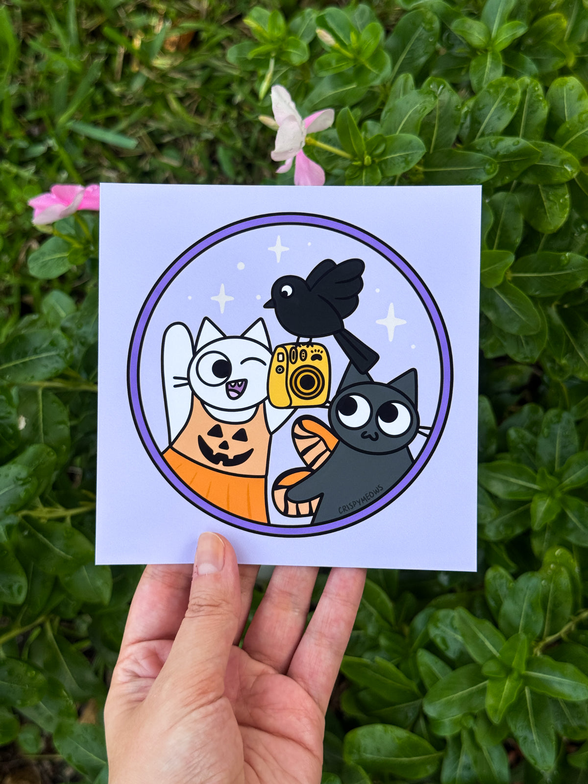 Arts & Cats, 5 x 5 Prints (designs from the 2027 calendar)