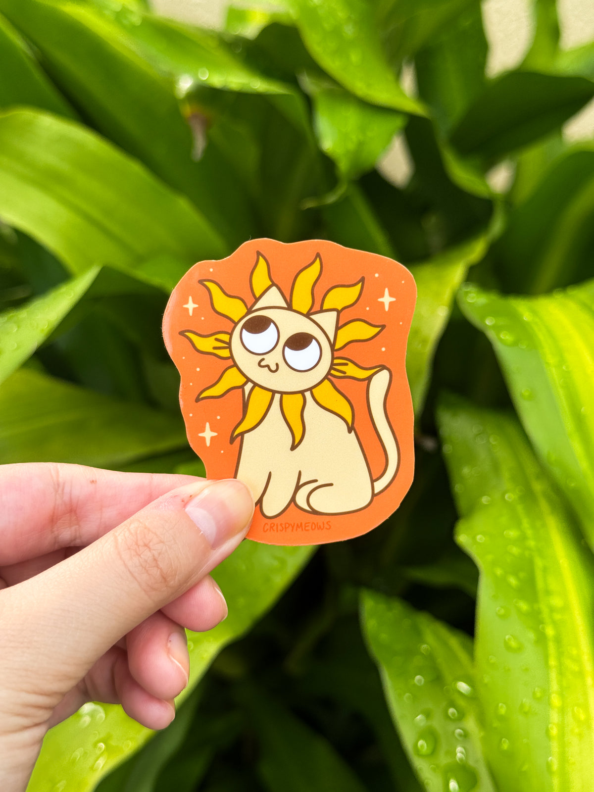 Sun Cat Sticker