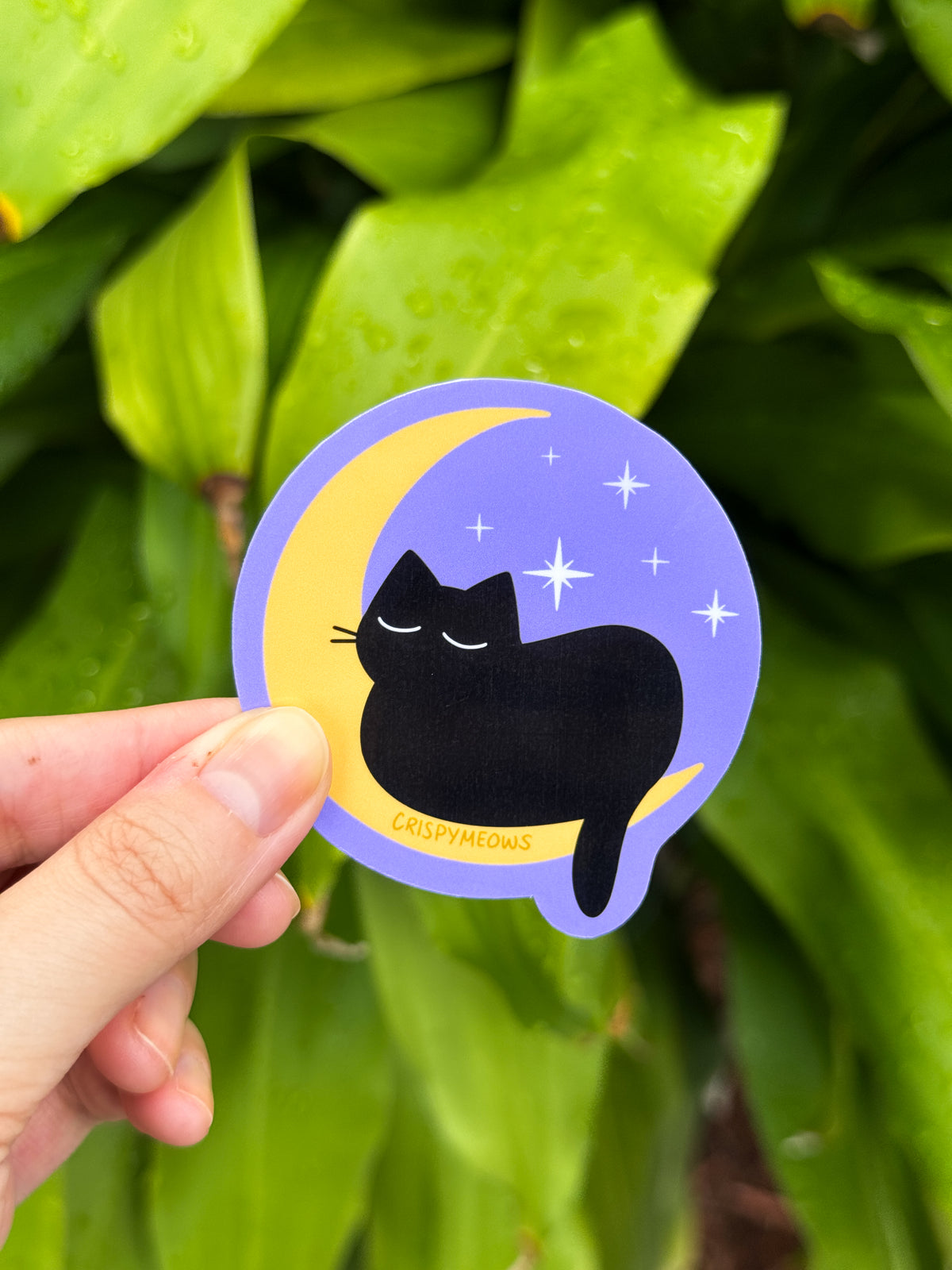 Moon Cat Sticker