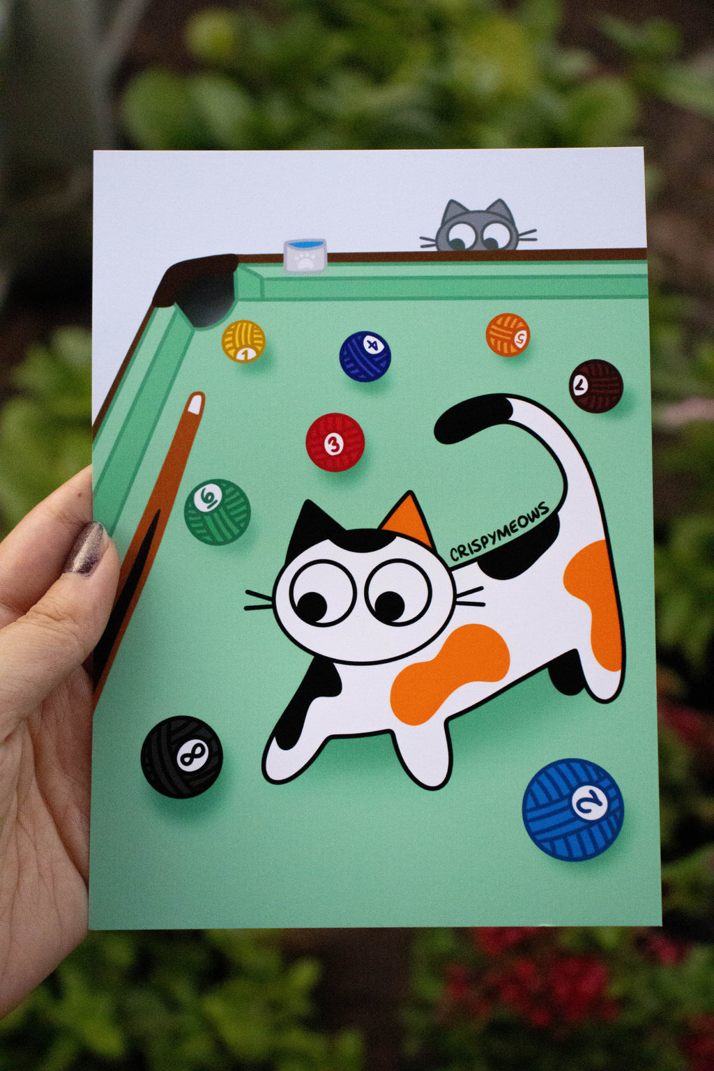Let's Play Pool! Print
