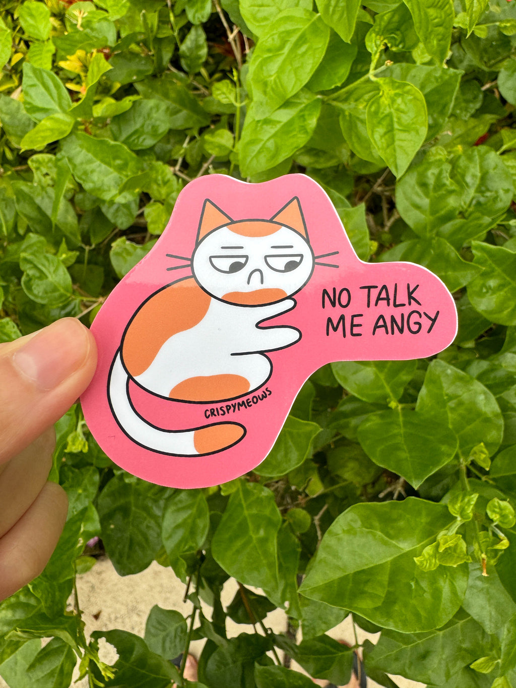 Silly Cat Stickers