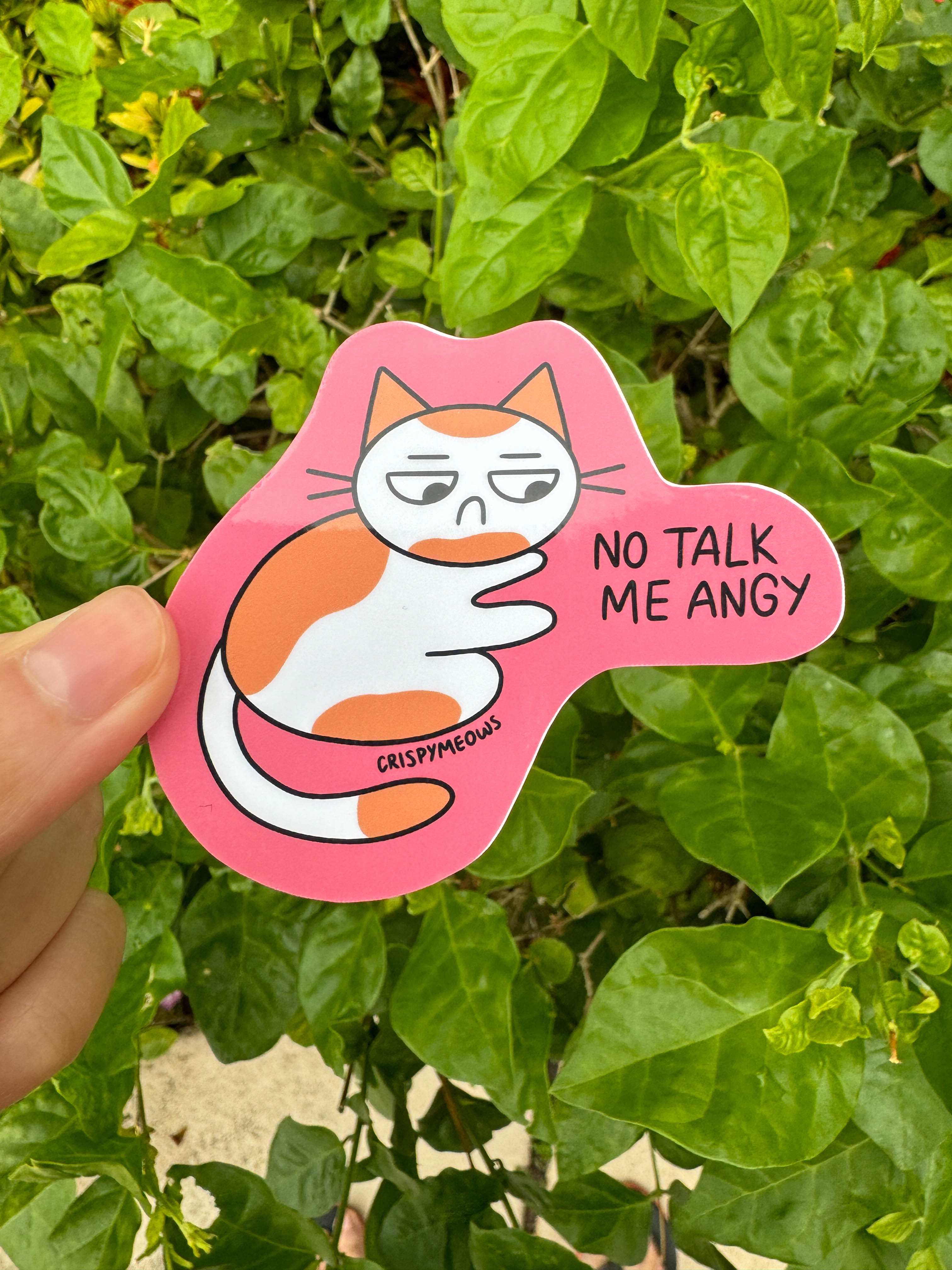 Silly Cat Stickers