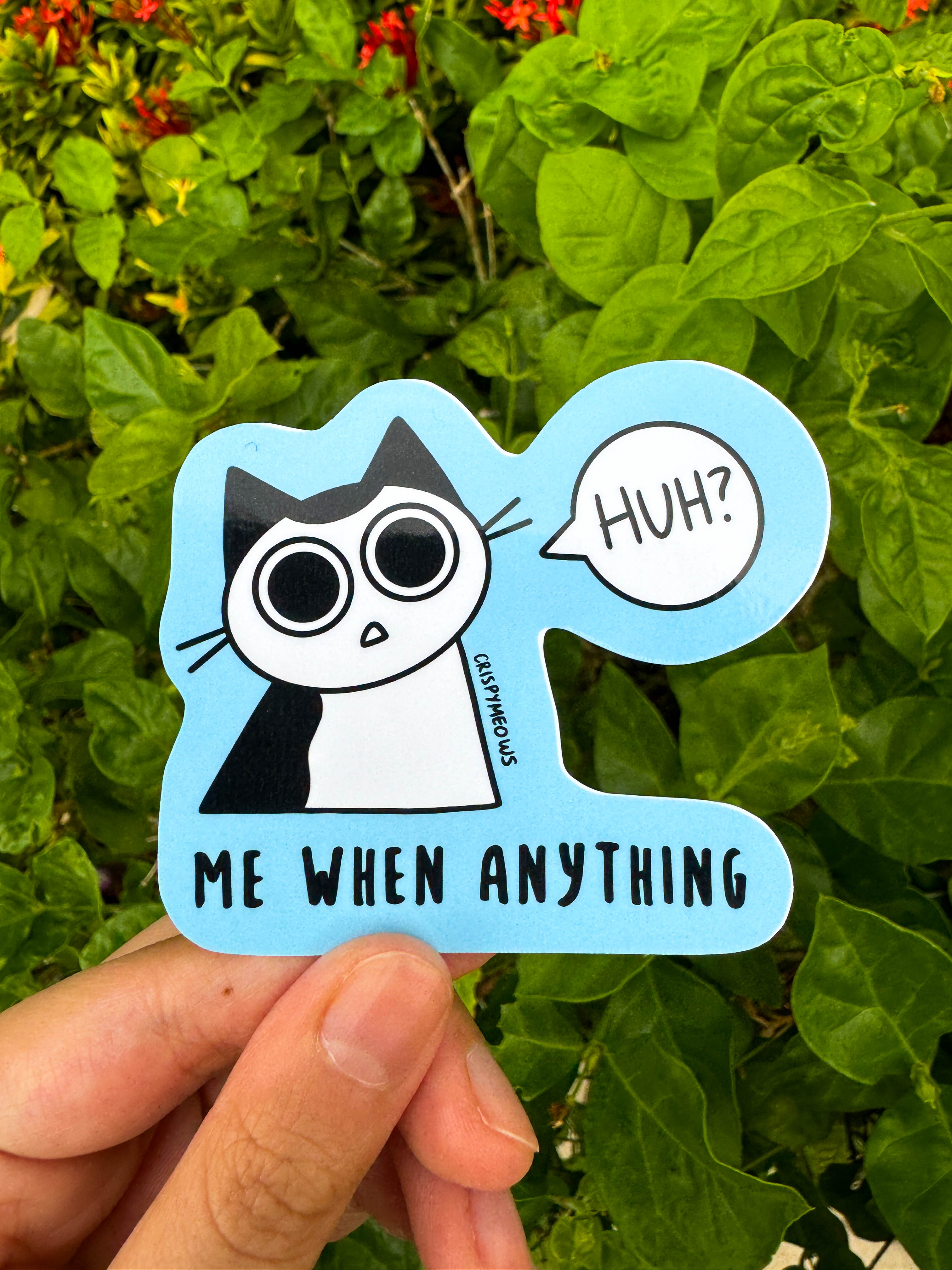 Silly Cat Stickers