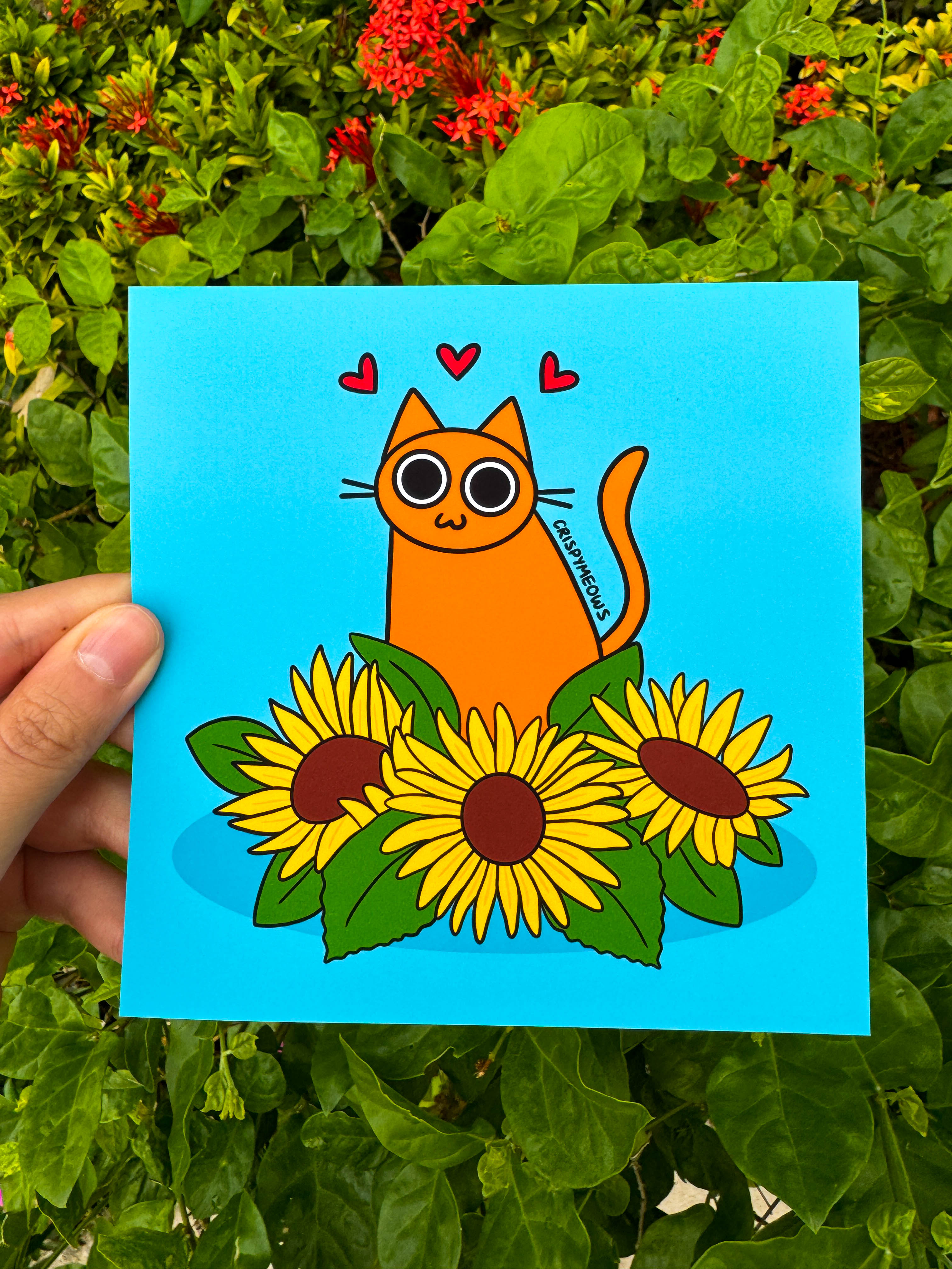 Flower Cats - 5 x 5 Print