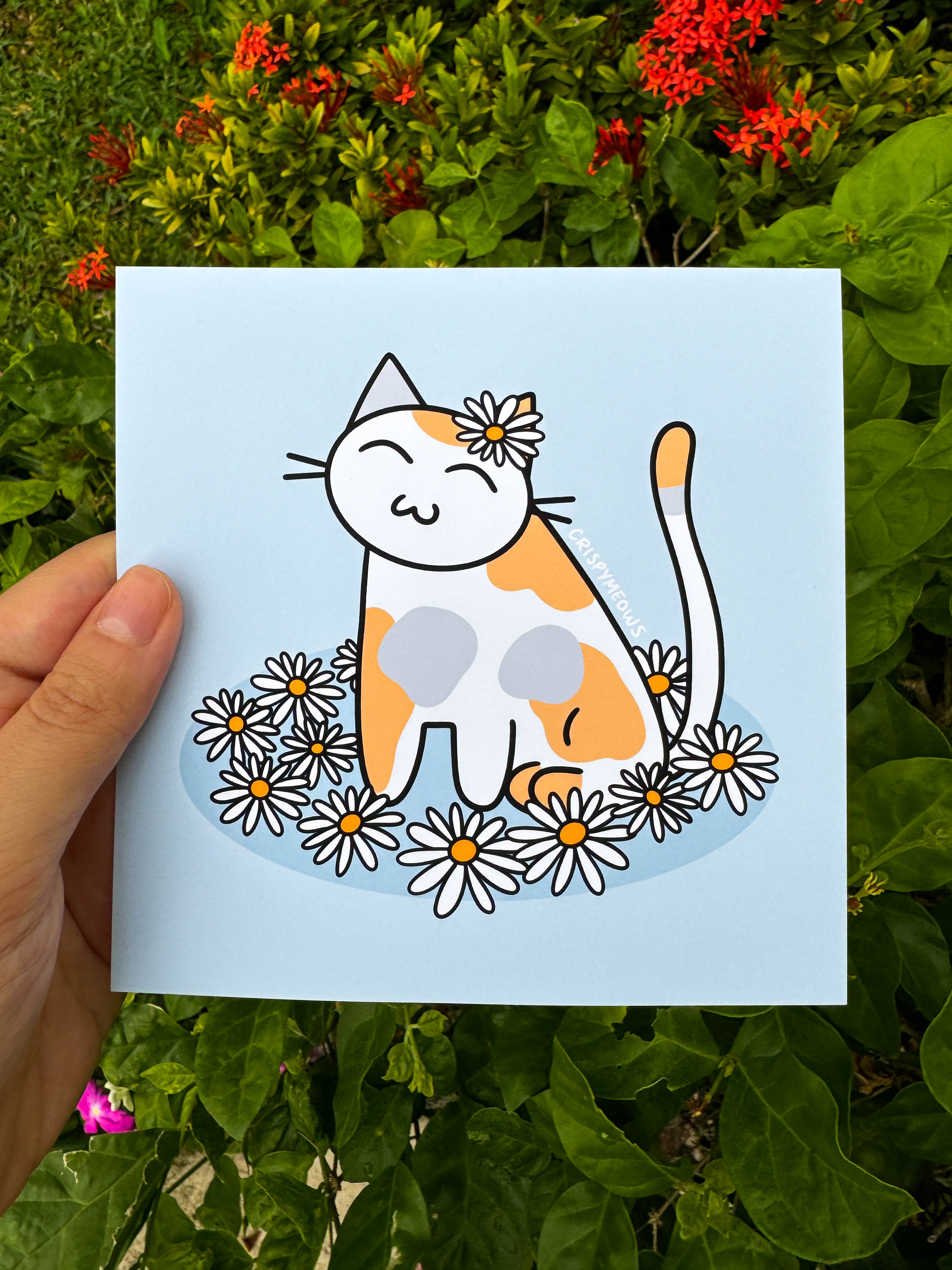 Flower Cats - 5 x 5 Print