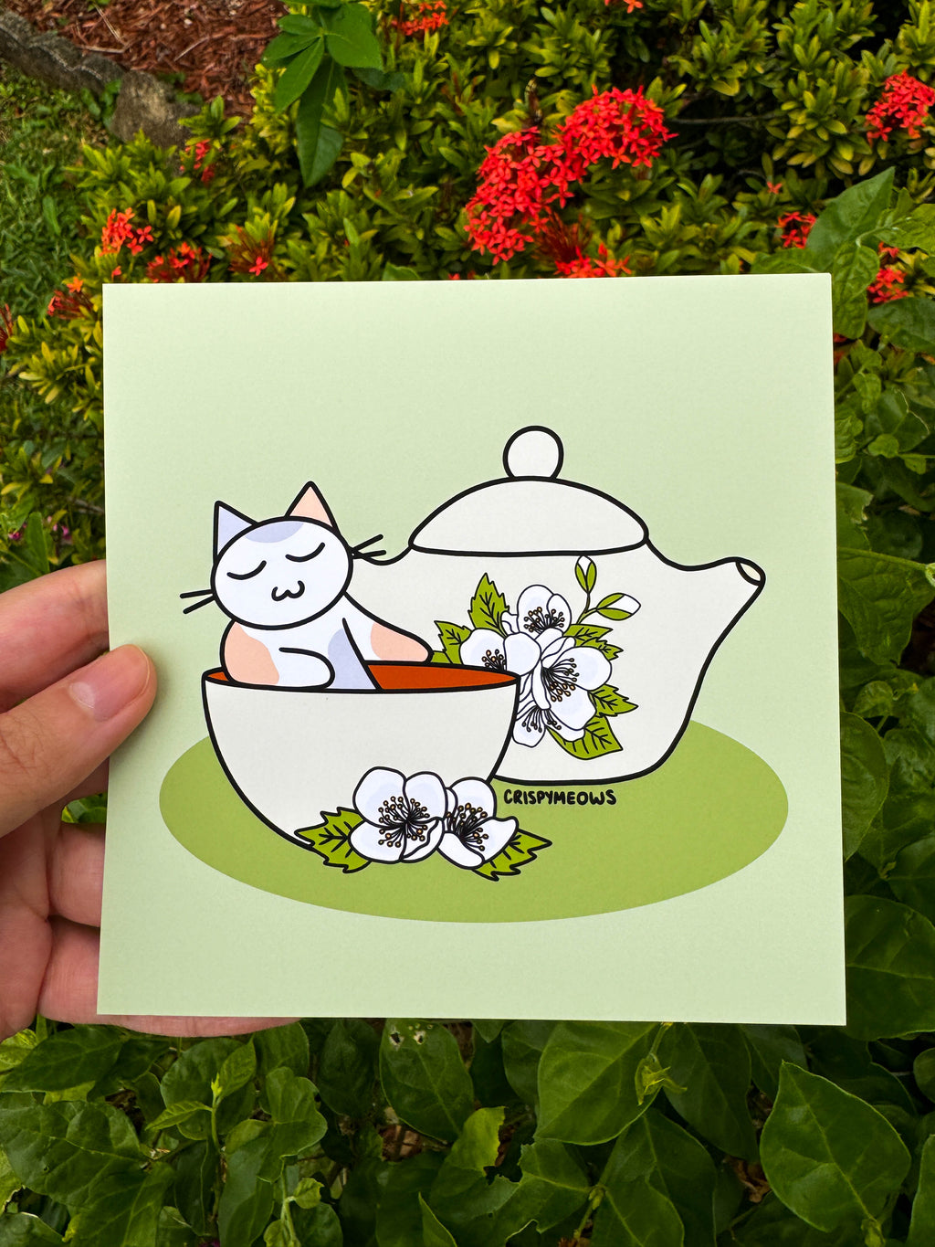 Flower Cats - 5 x 5 Print