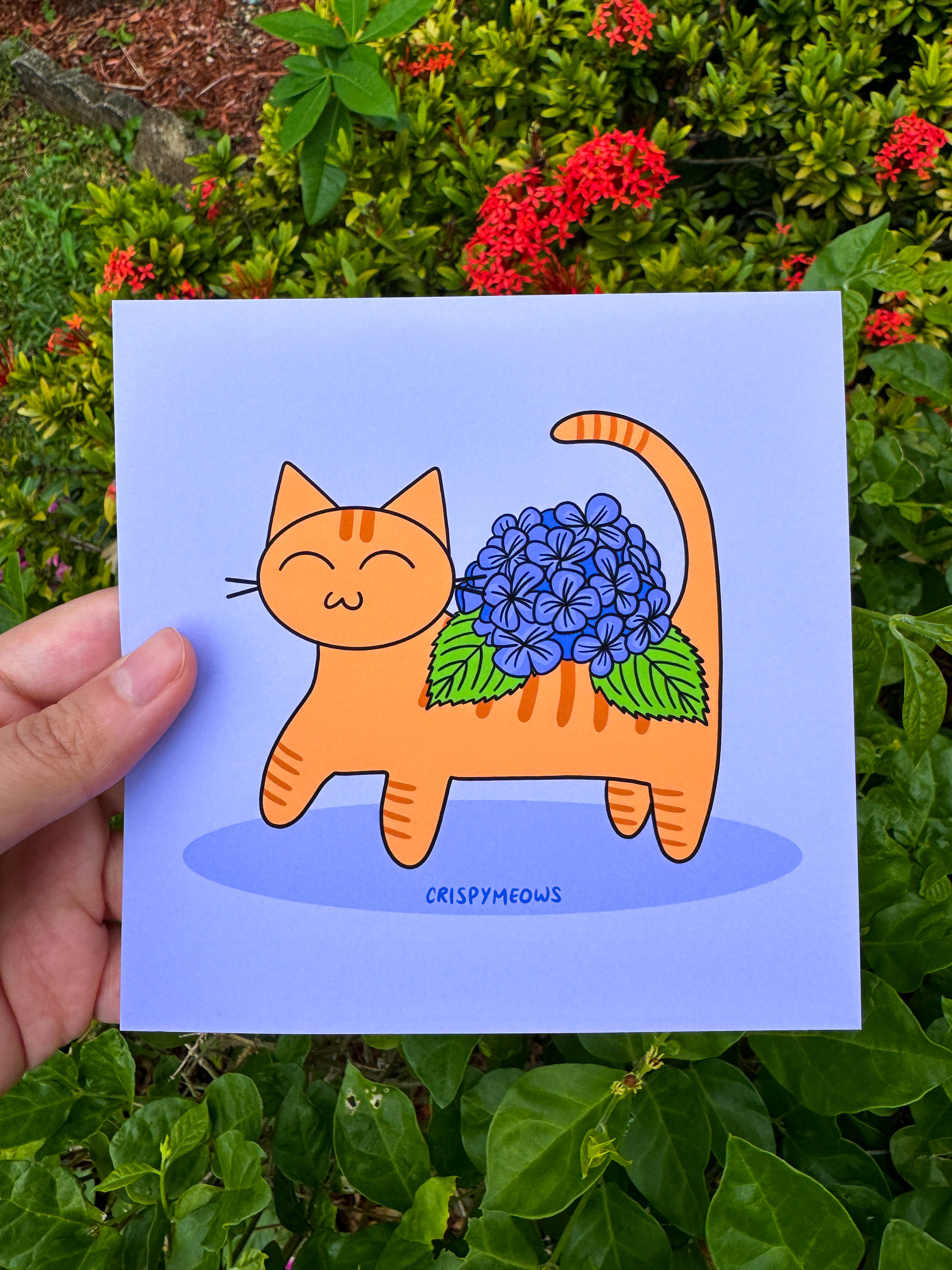 Flower Cats - 5 x 5 Print