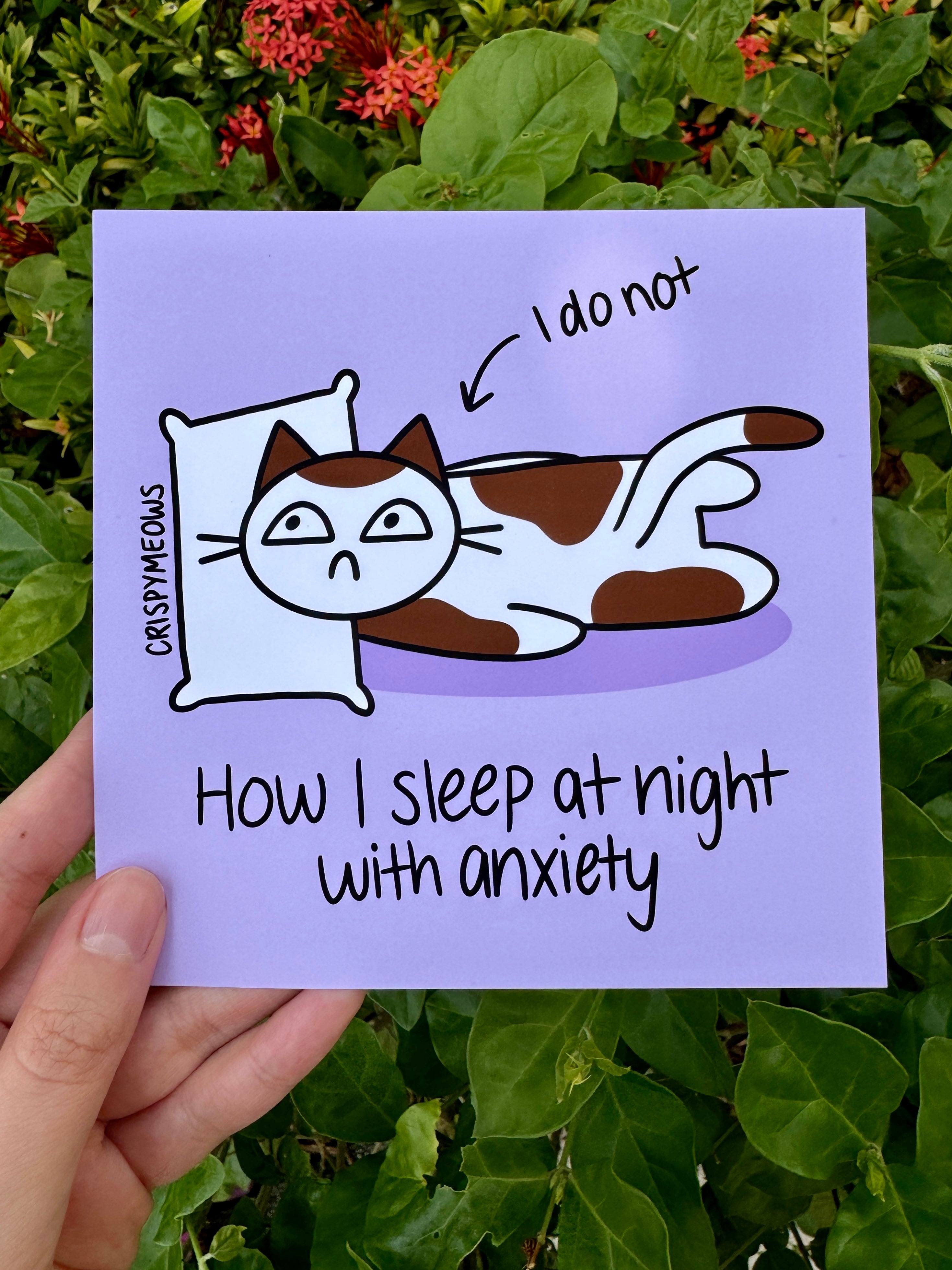 Silly Cats - 5 x 5 Print