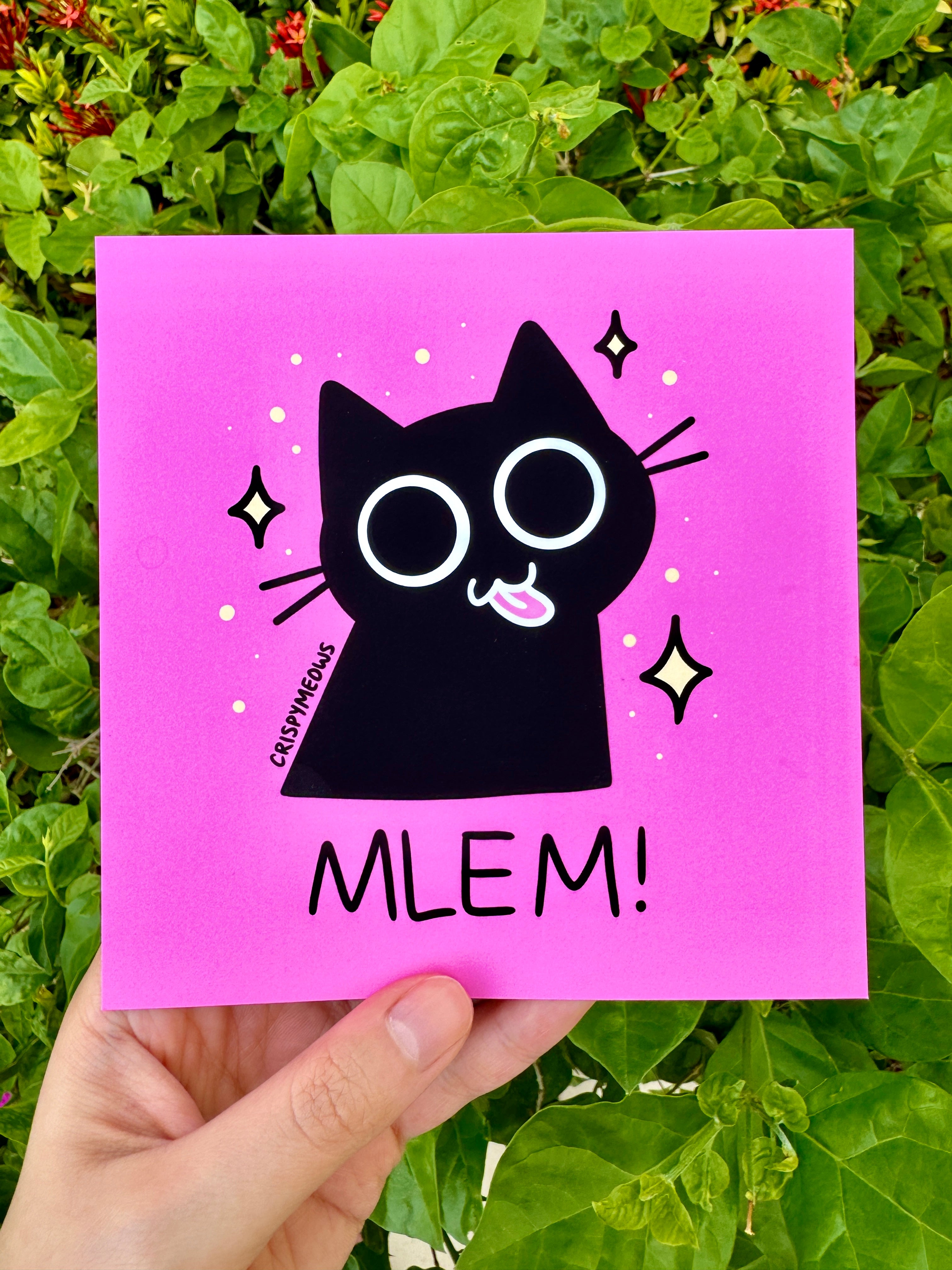 Silly Cats - 5 x 5 Print