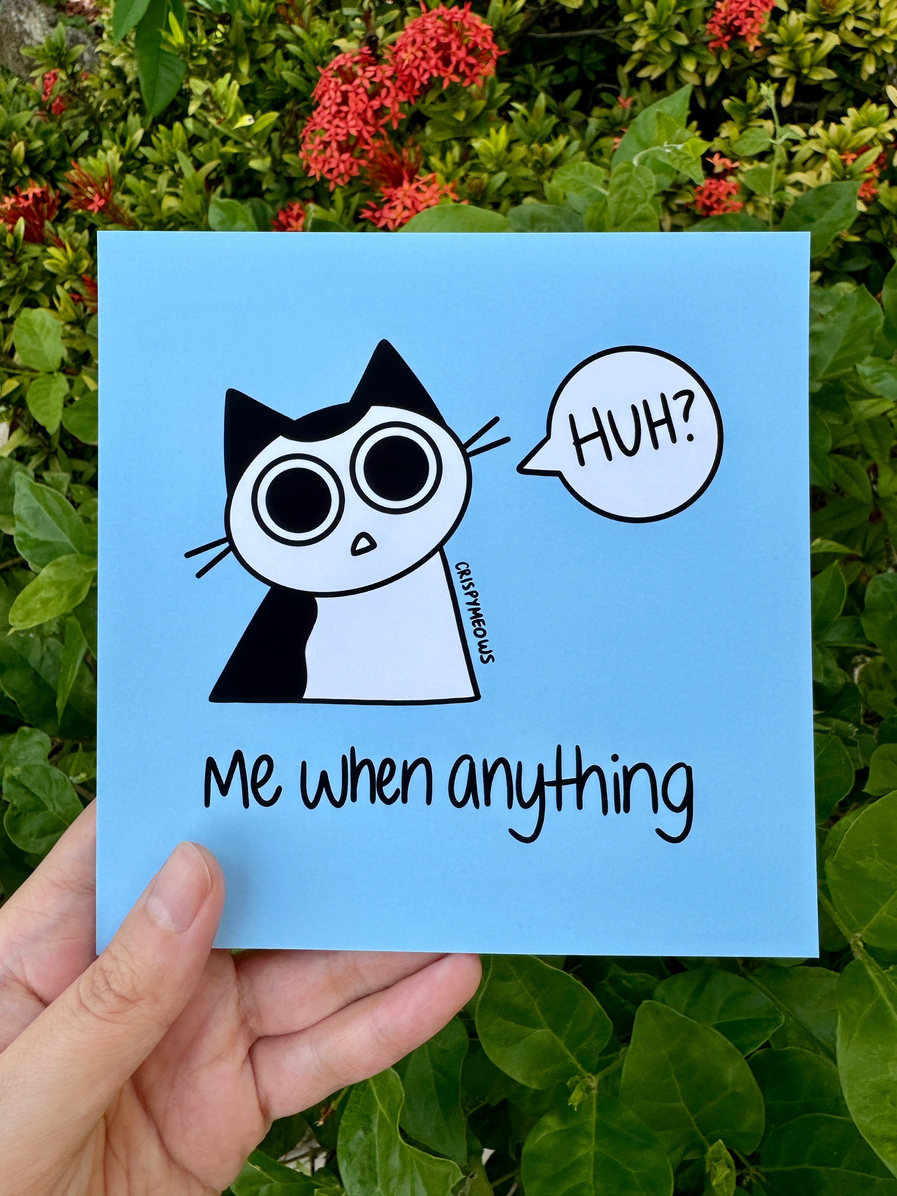 Silly Cats - 5 x 5 Print