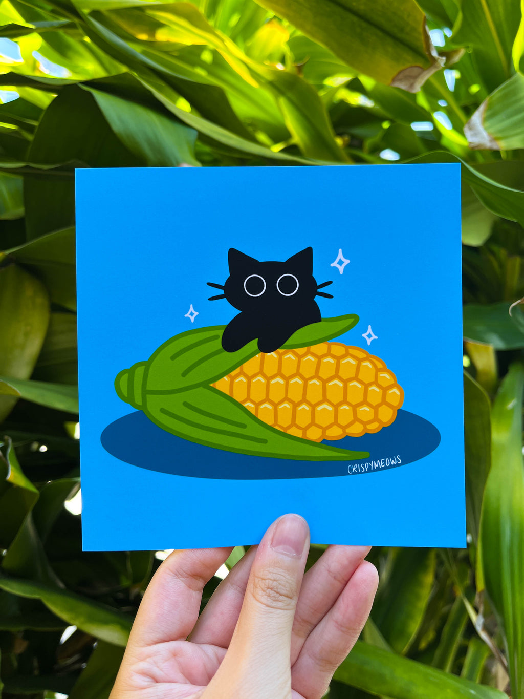 Cat On The Cobb, 5 x 5 Print