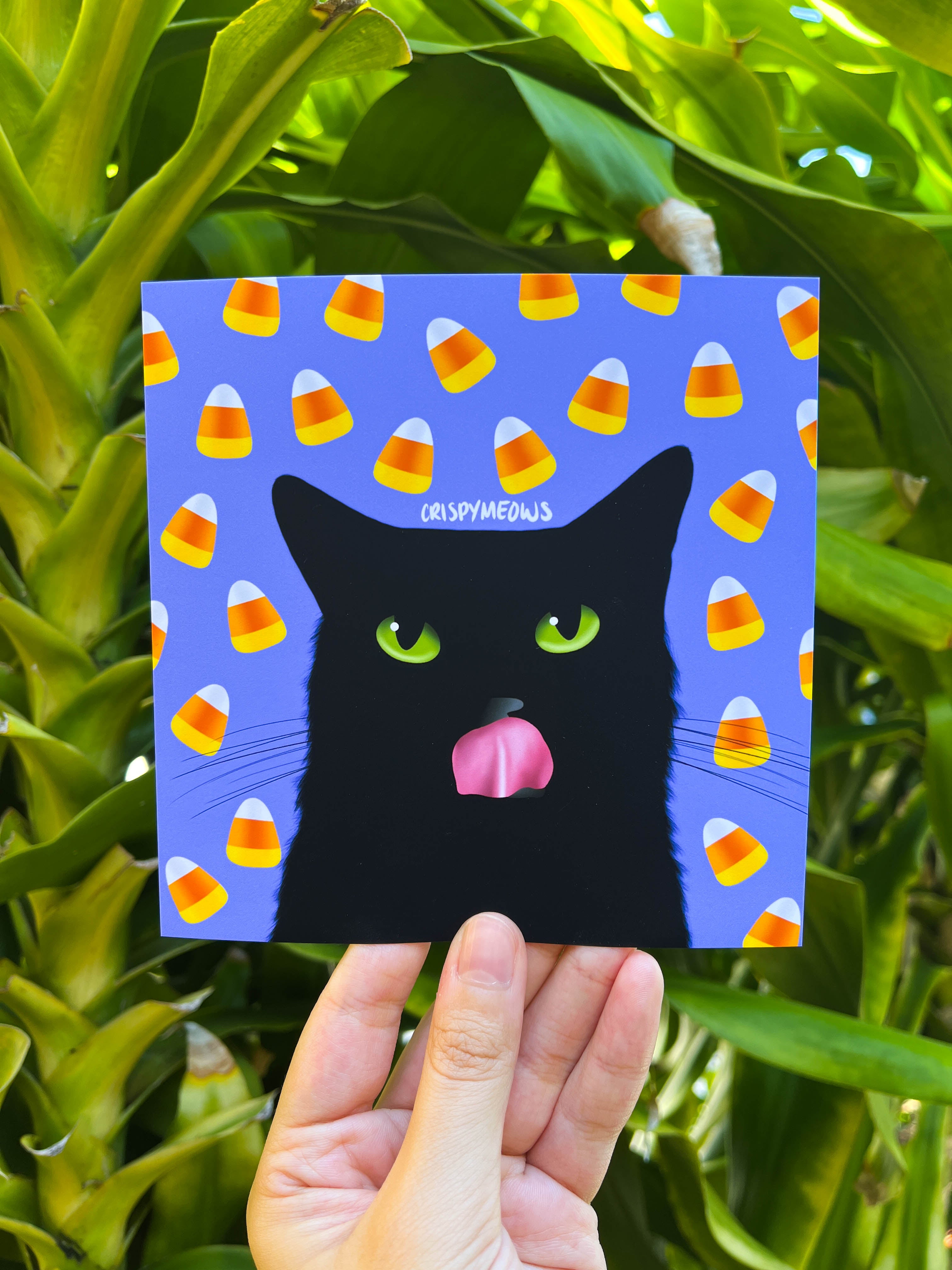 Candy Corn Cat, 5 x 5 Print
