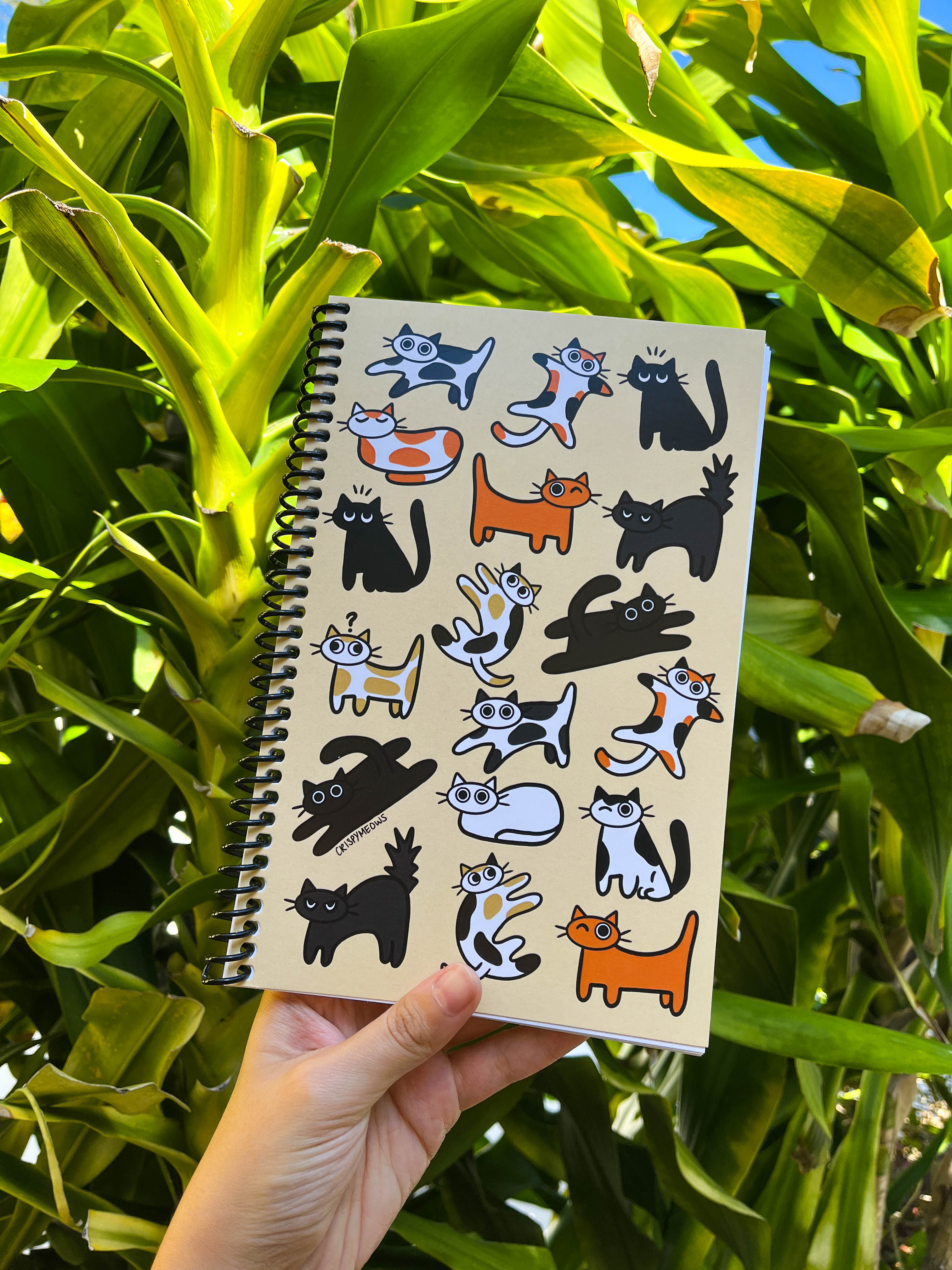 Cat Invasion Notebook