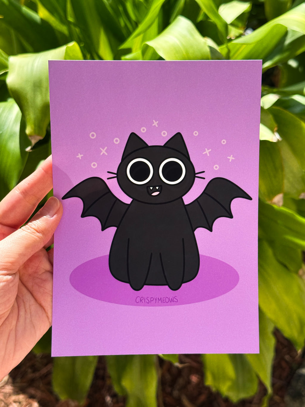 Bat Cat, 5 x 7 Print