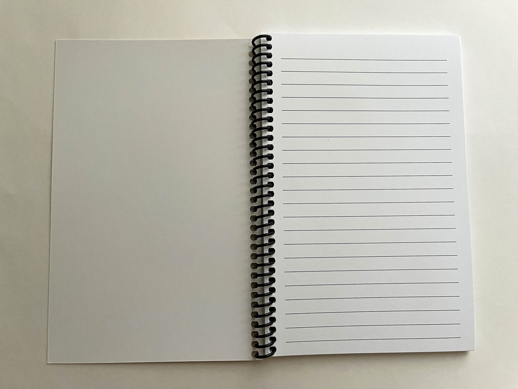 Cat Invasion Notebook