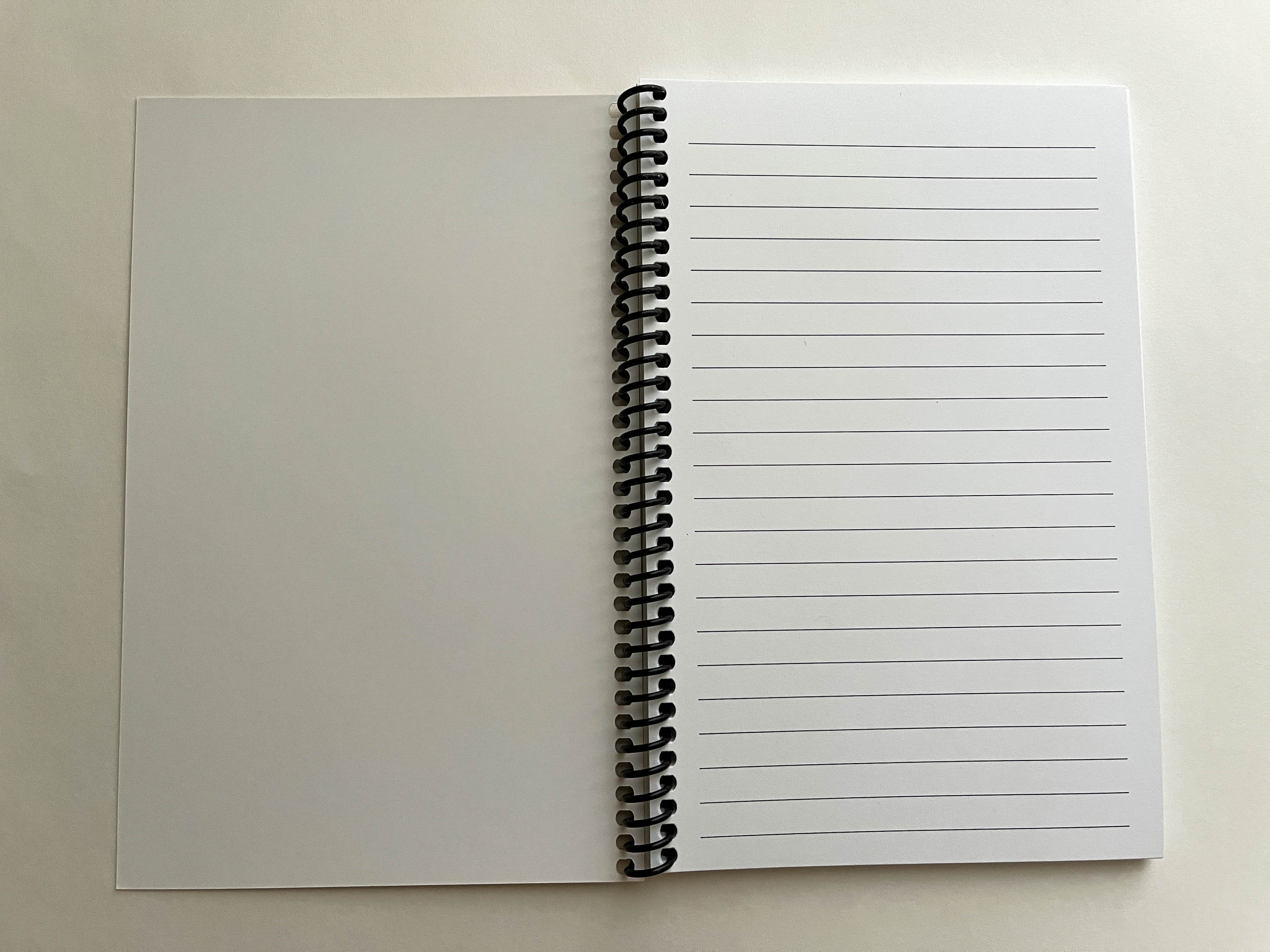 Cat Invasion Notebook