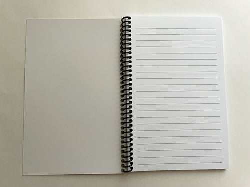 Cat Invasion Notebook