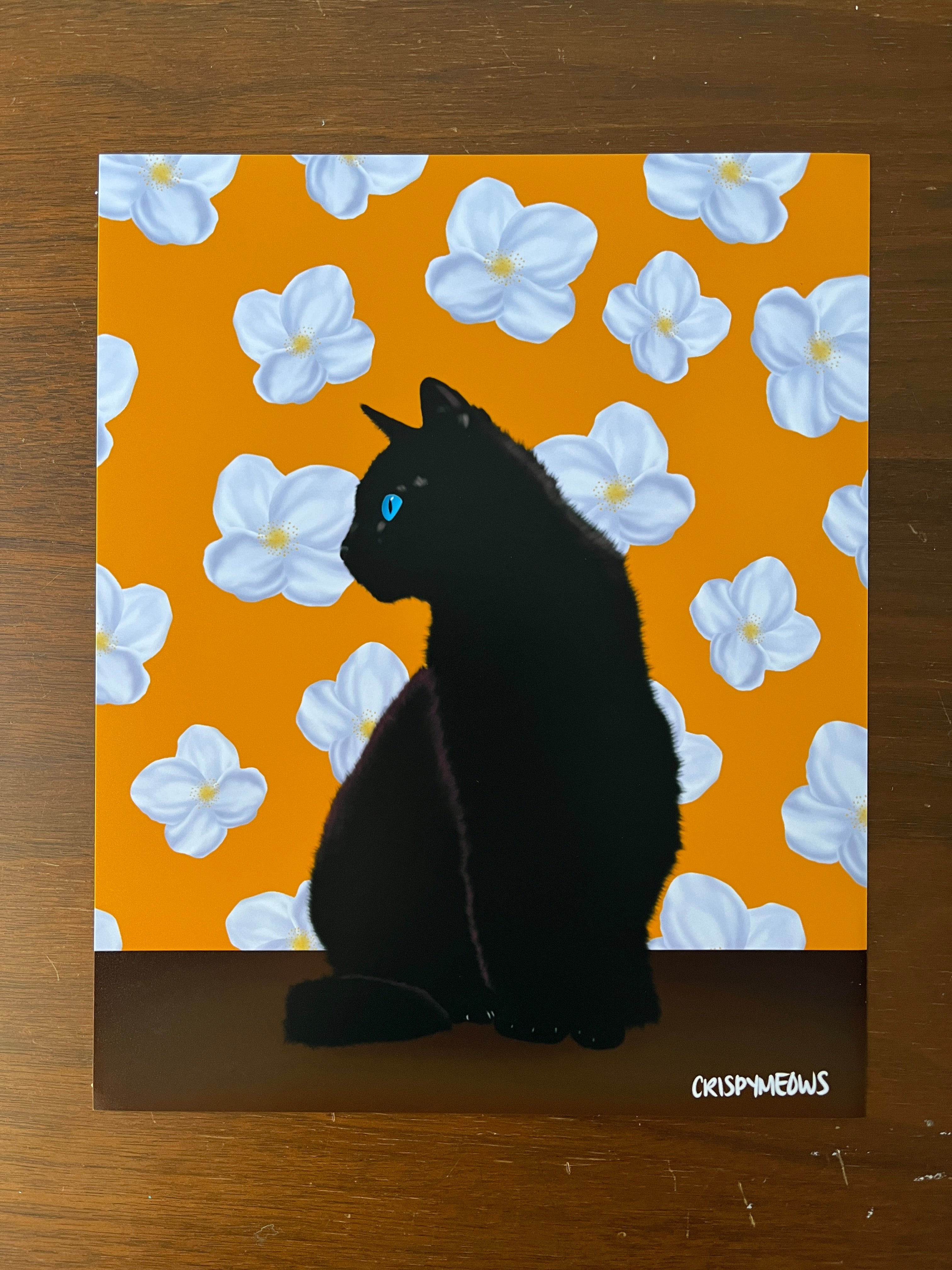 Black Cat With Jasmine Flowers, 8 x 10 Print
