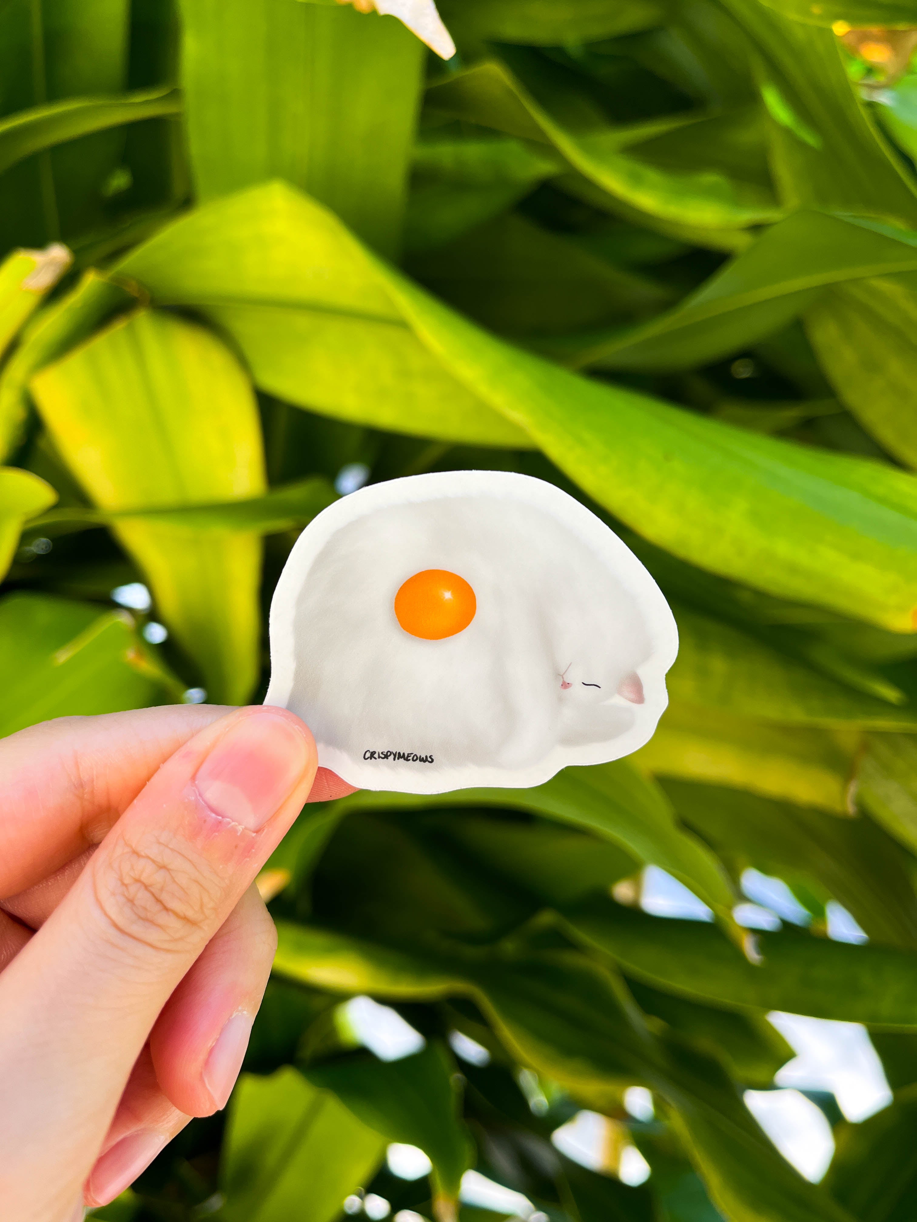 Egg Cat Sticker