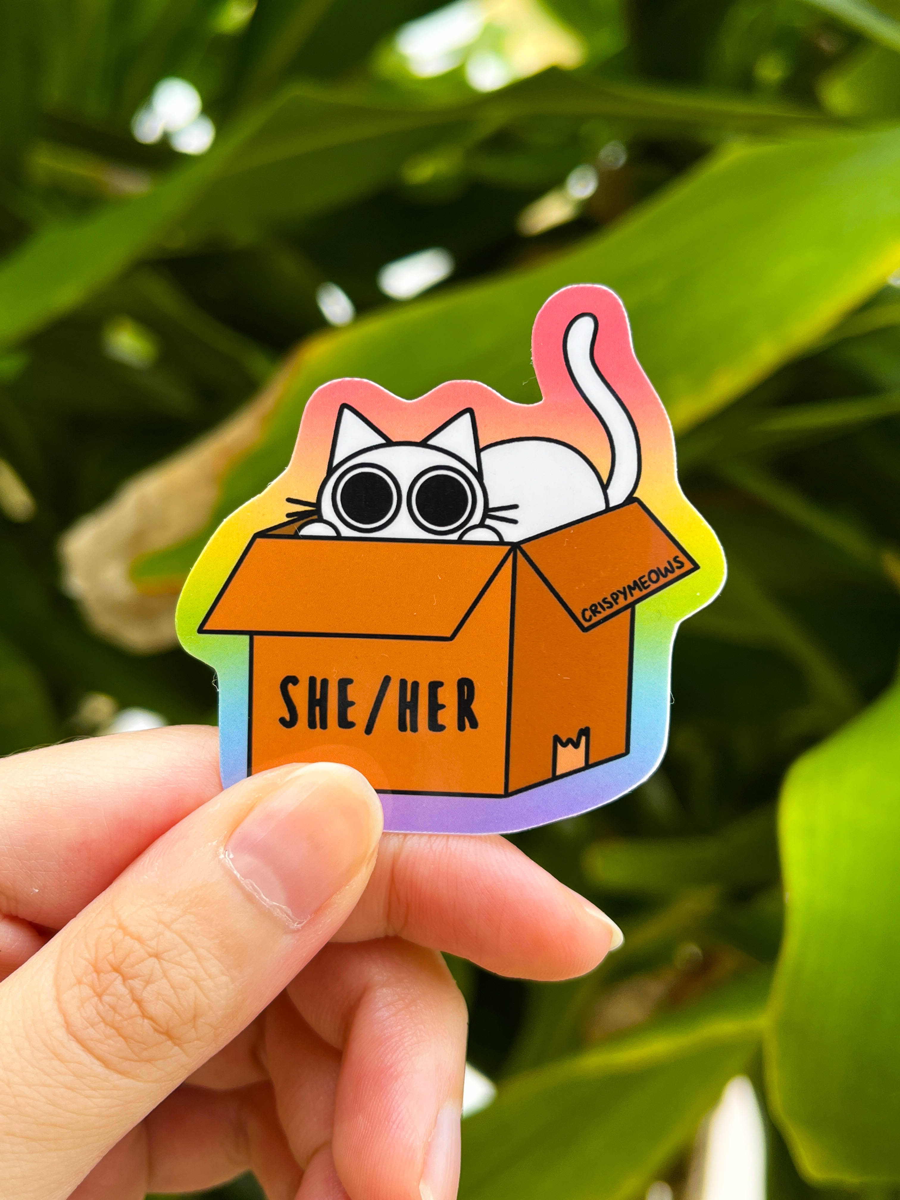 Pronoun Stickers