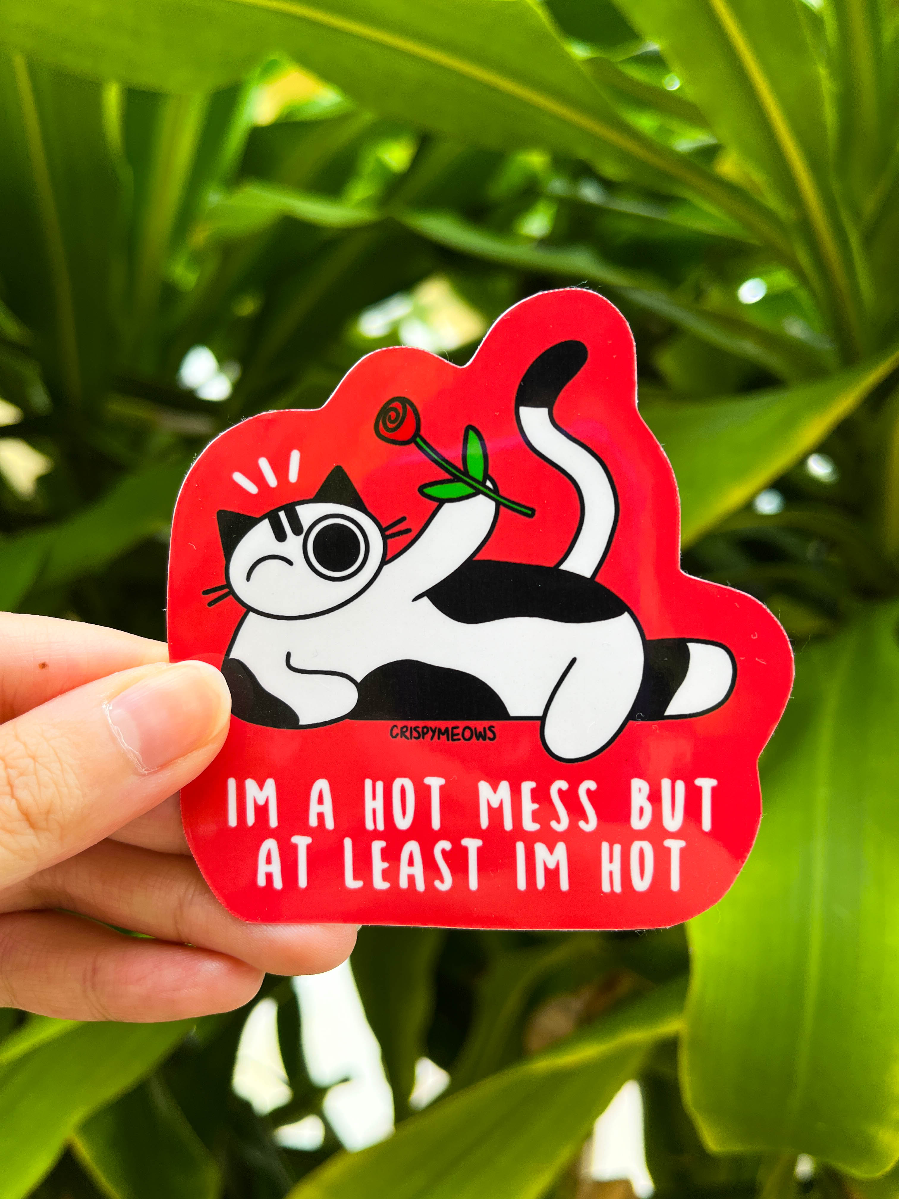 Hot Mess Cat Stickers