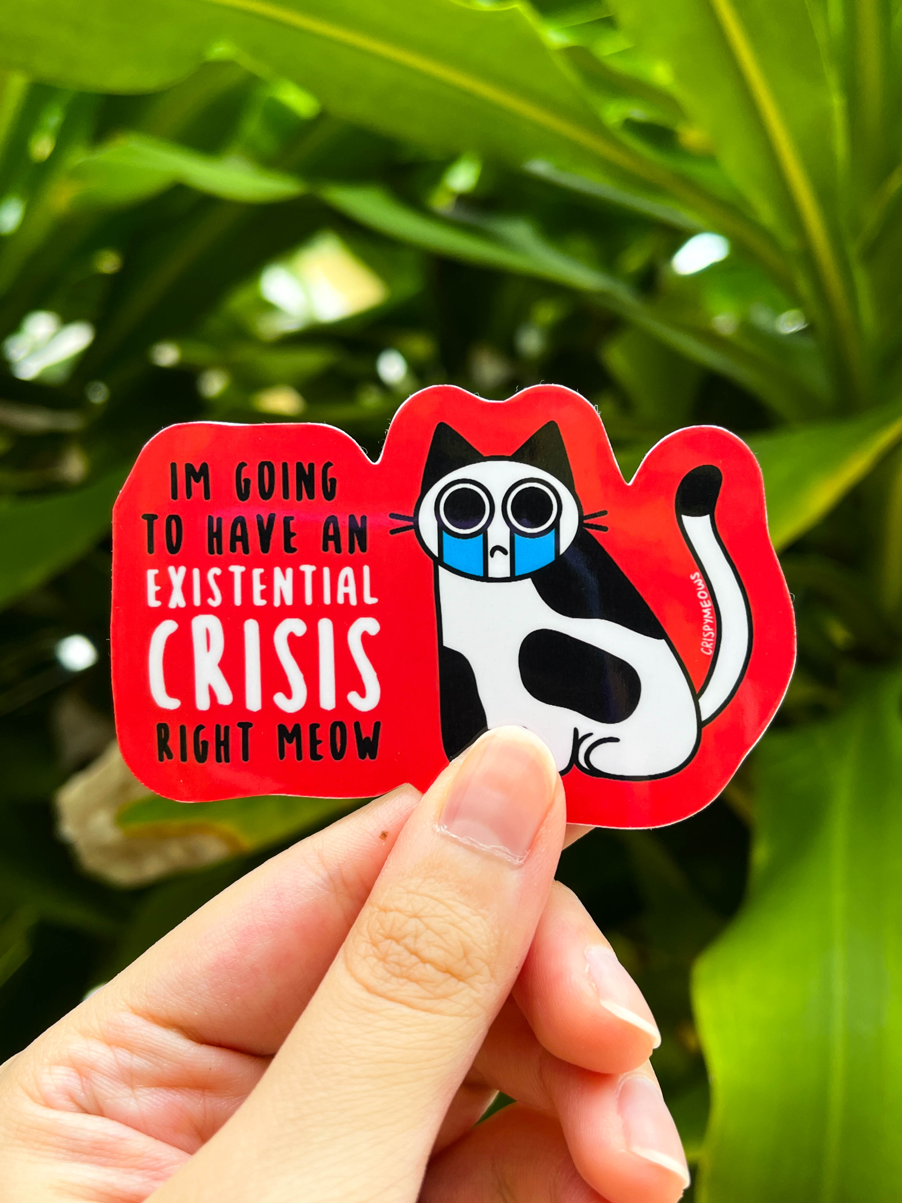 Hot Mess Cat Stickers