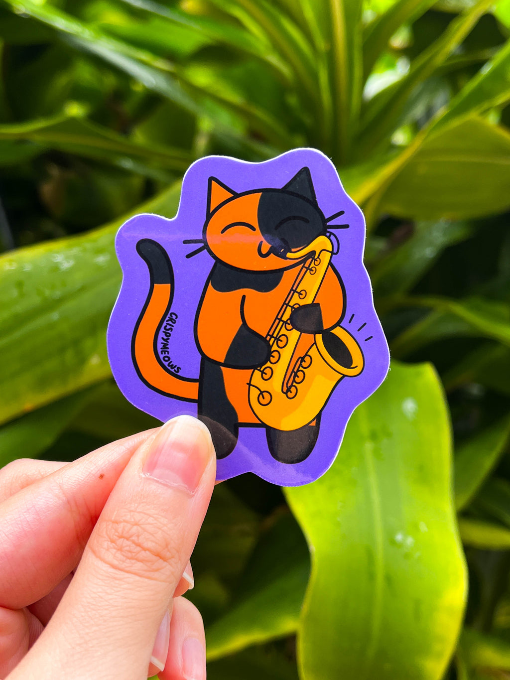 Instrument Cats