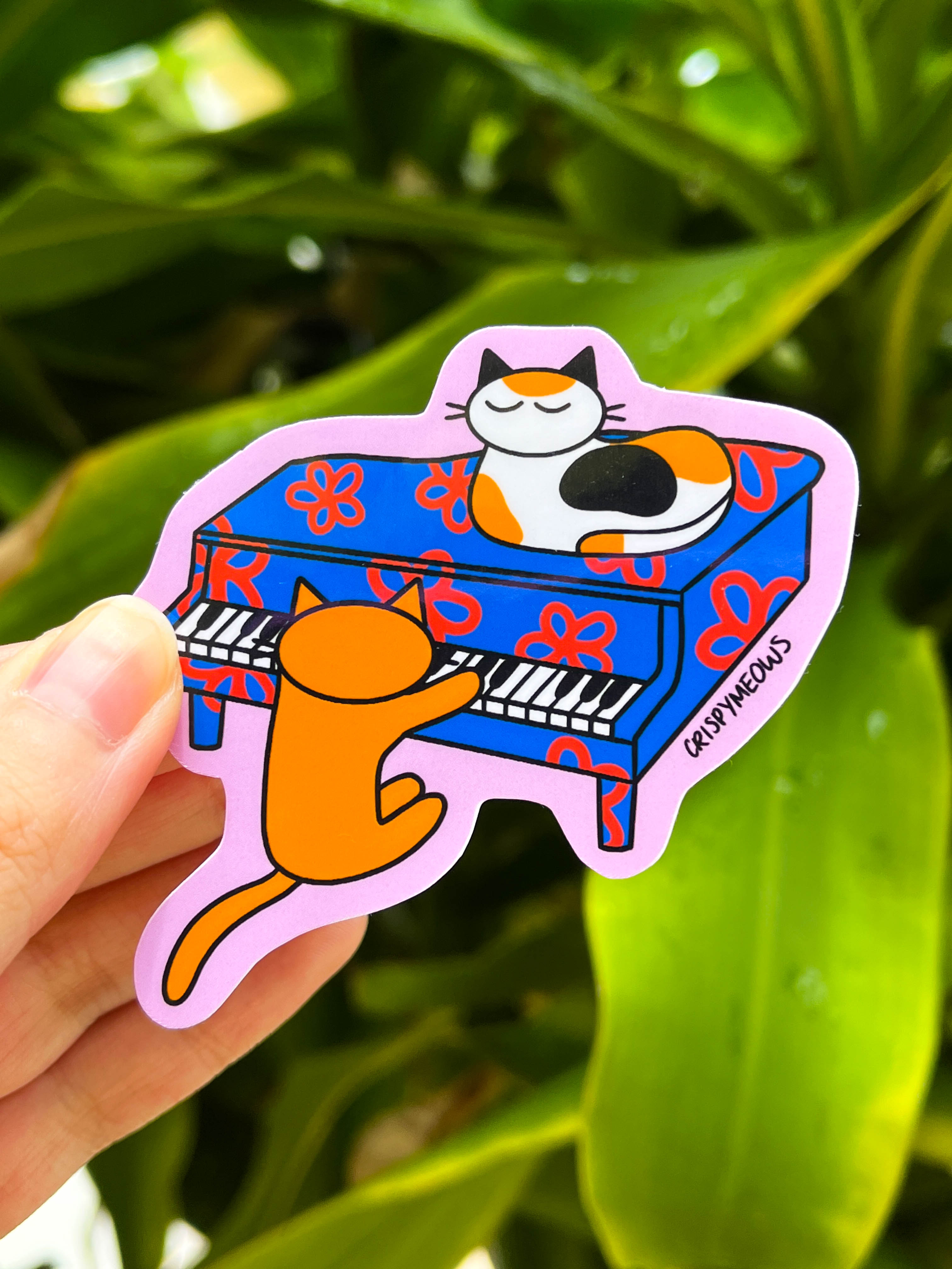 Instrument Cats
