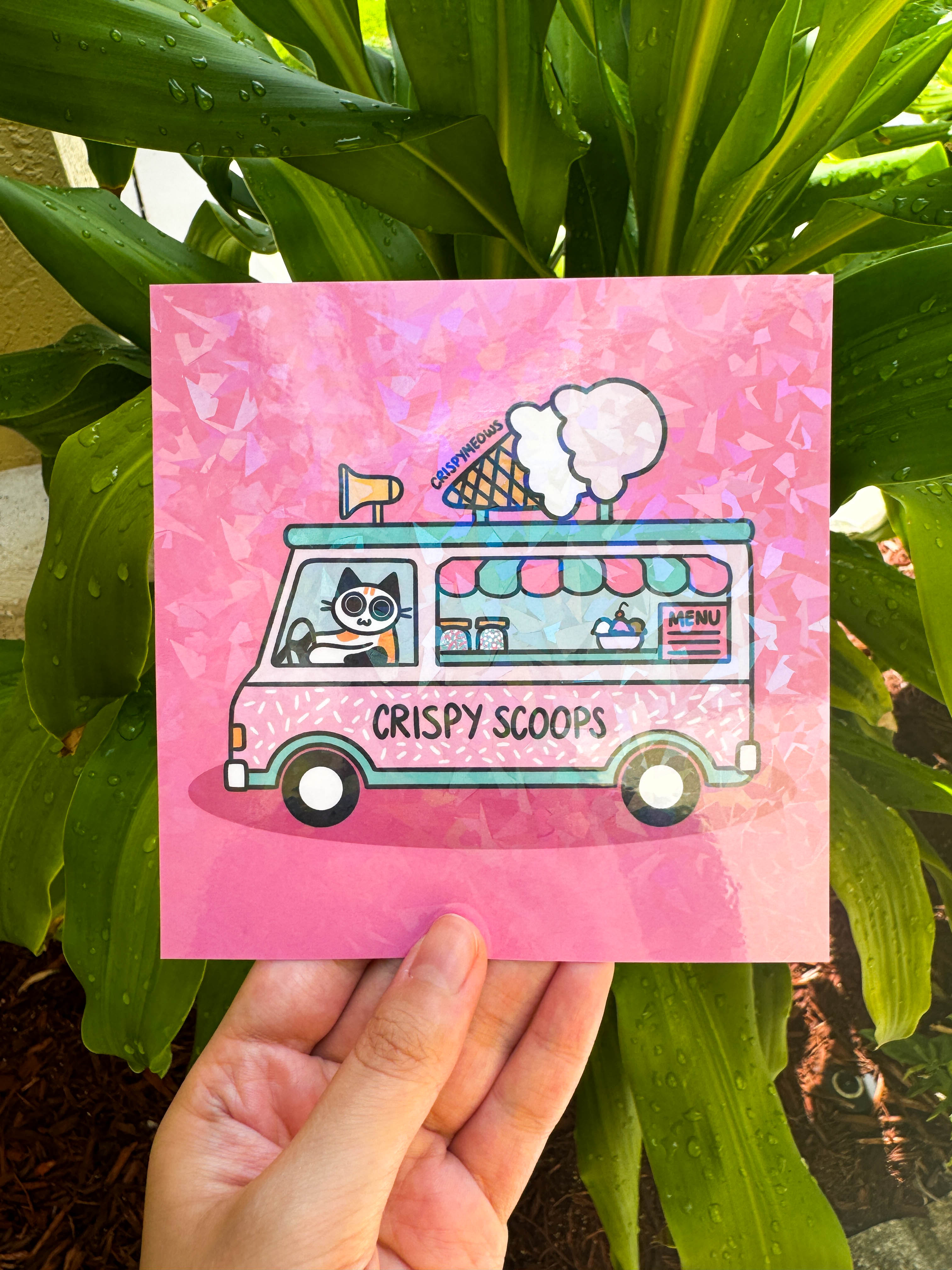 Crispy Scoops, 5 x 5 Print