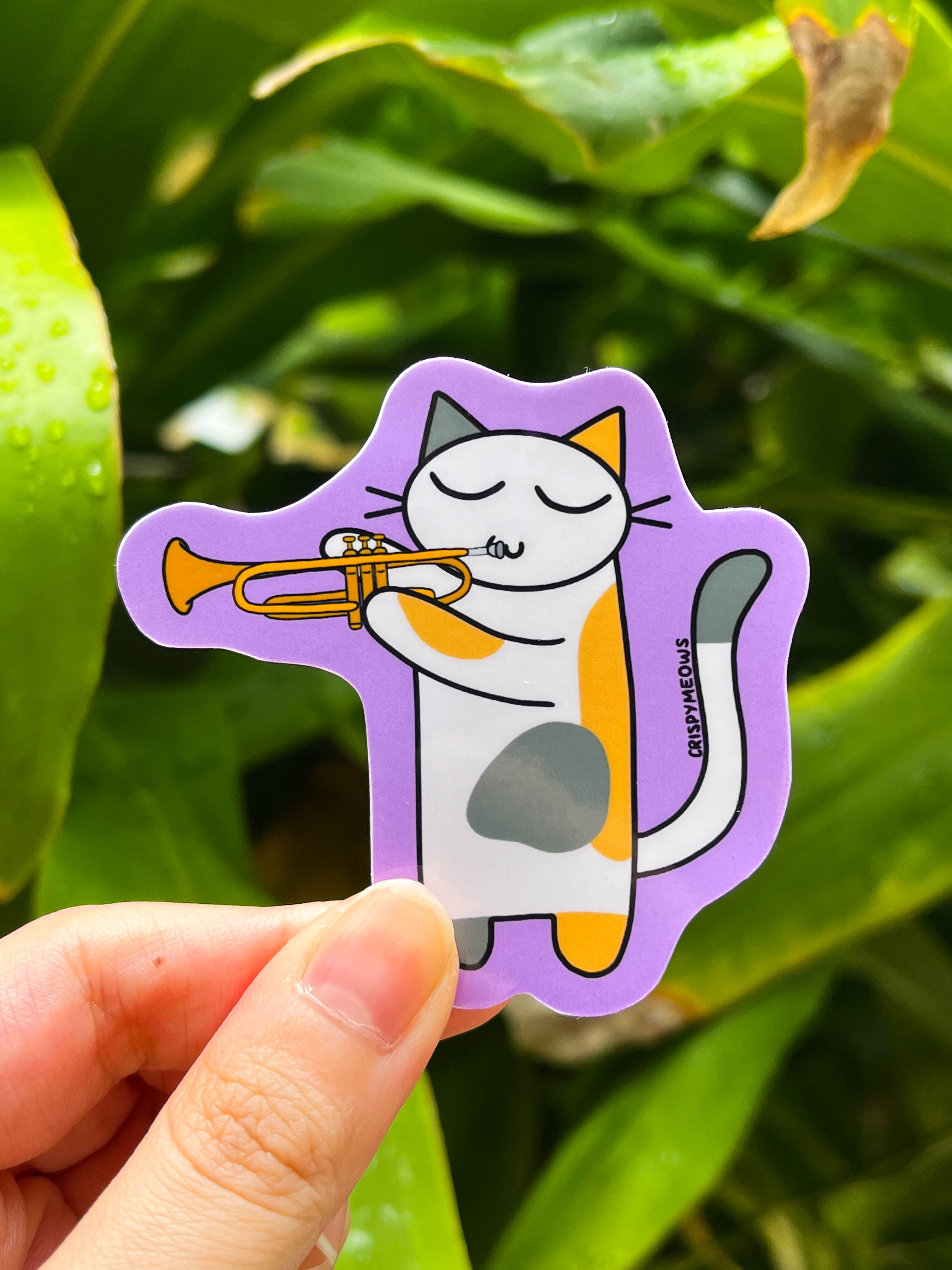 Instrument Cats