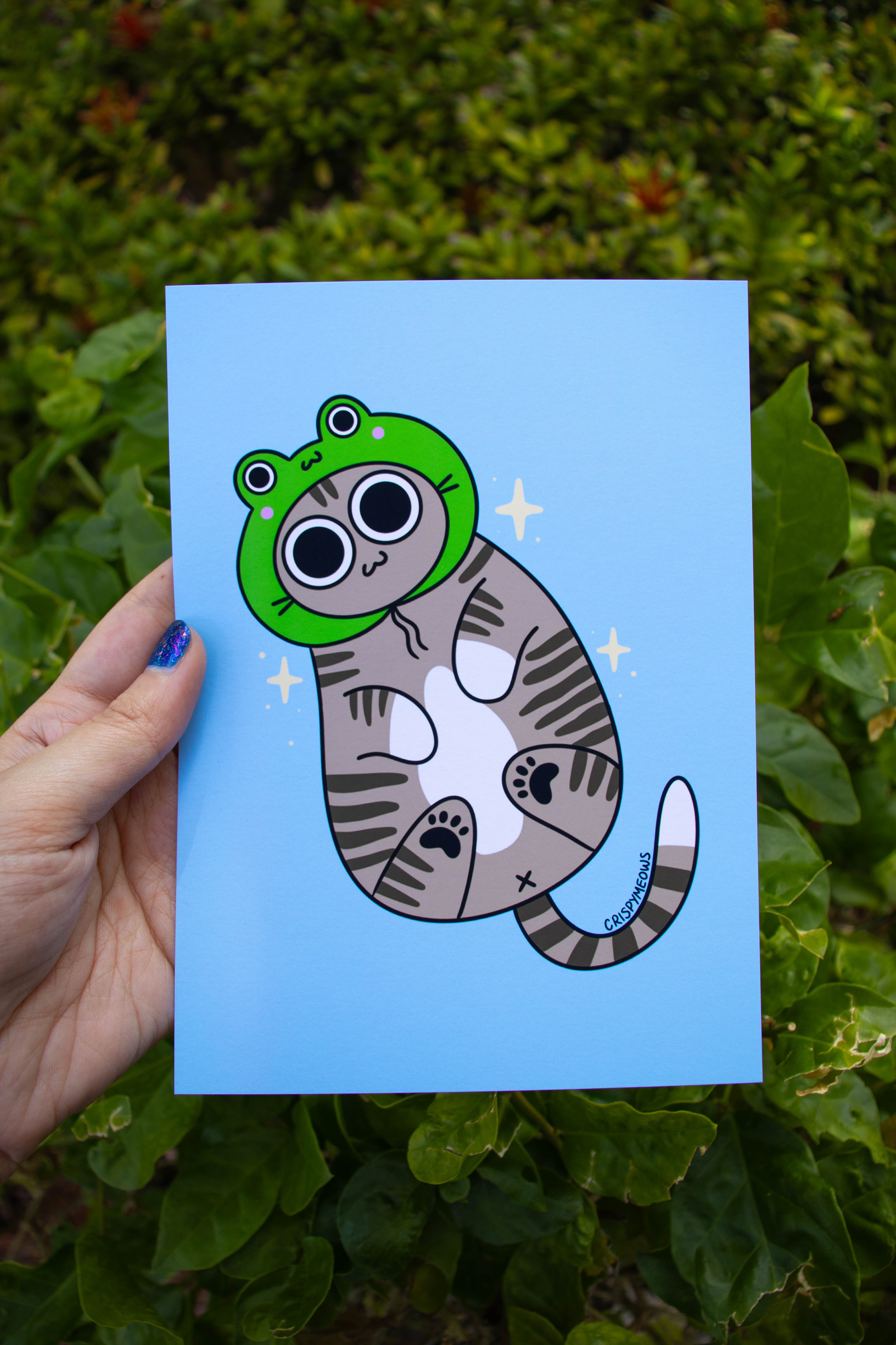 Cat With Froggie Hat, 5 x 7 Print